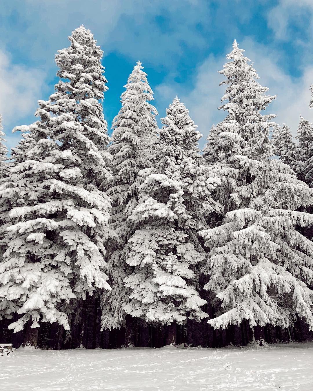 1080x1350 Postcard from Predeal with love❄️