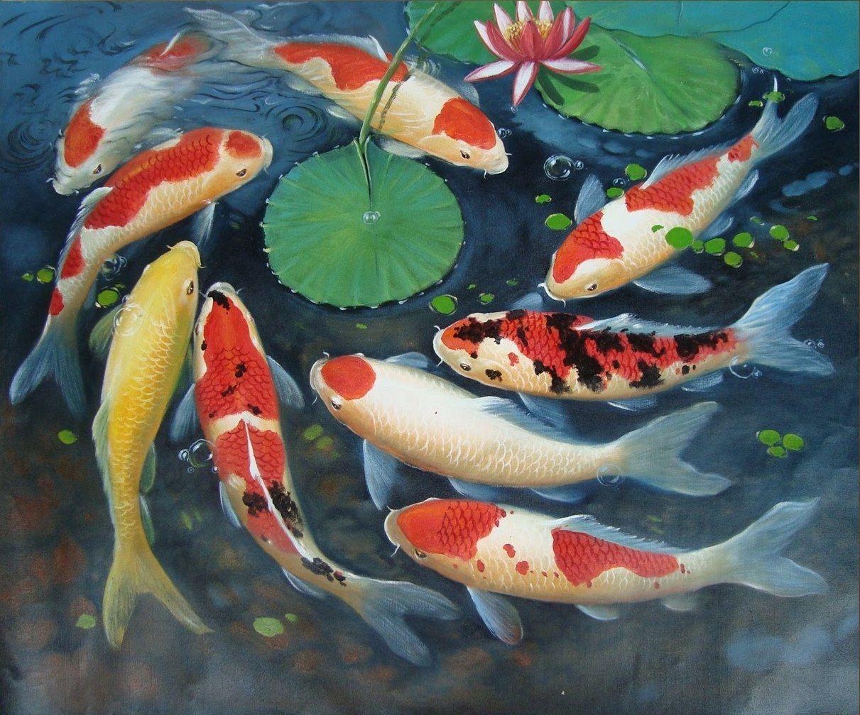 1211x1008 Lukisan Ikan Koi Wallpaper