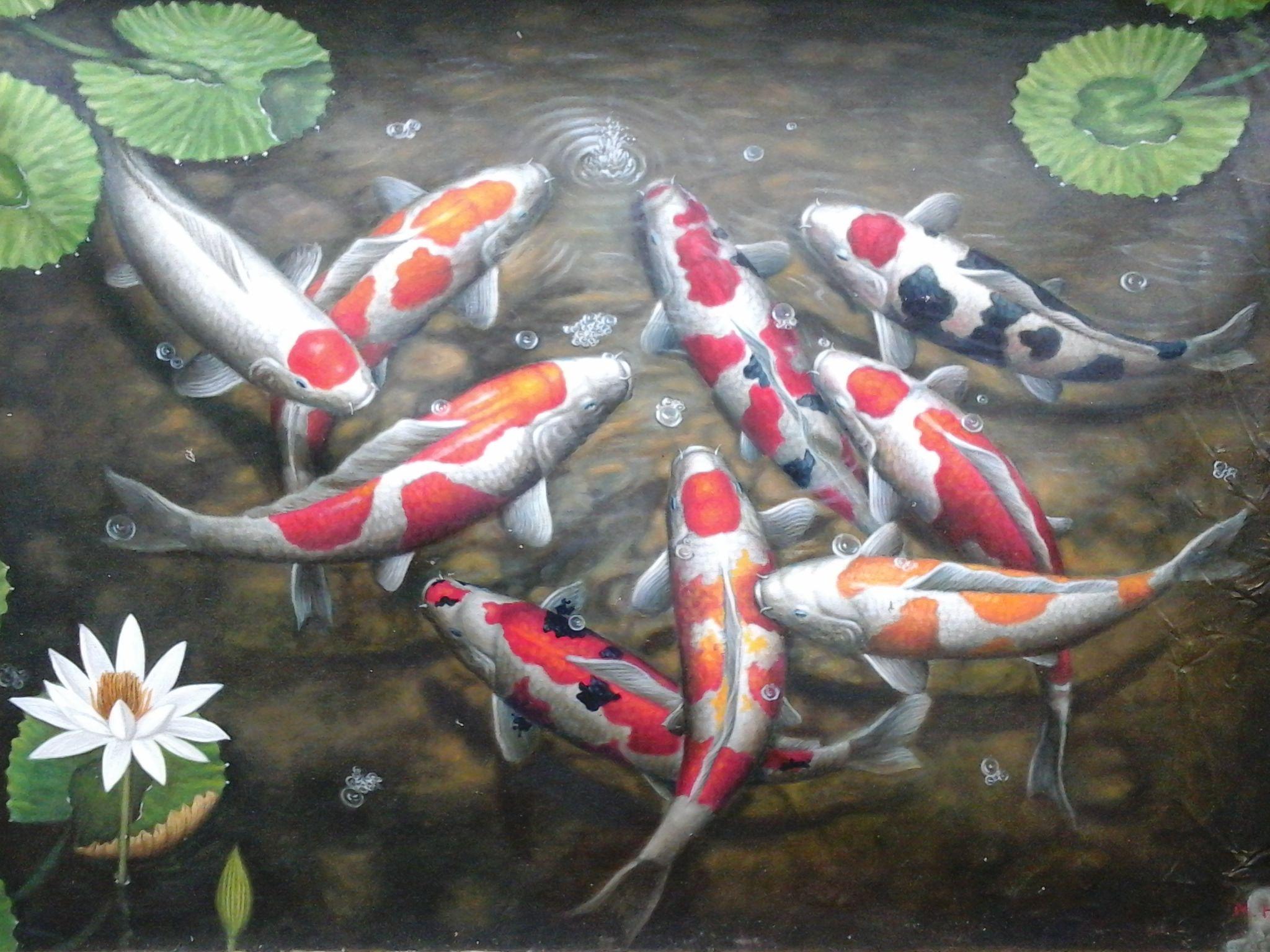 2048x1536 Wallpaper 3D Ikan Koi Wallpaperz For You