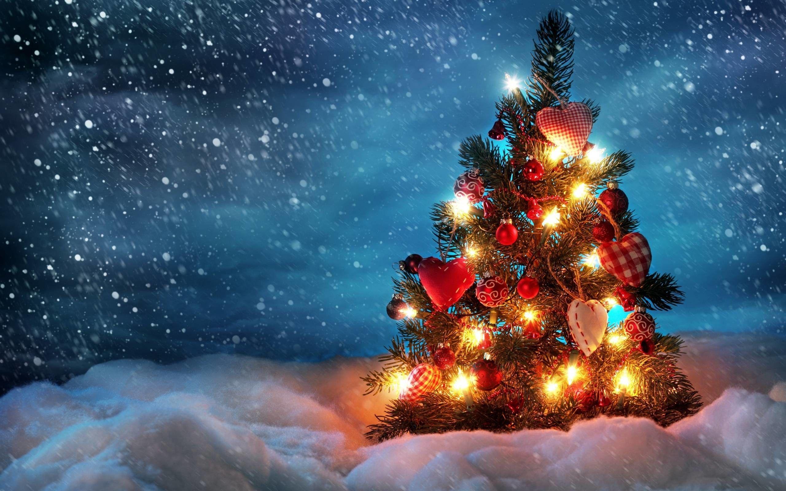 2560x1600 Snowy Christmas Wallpaper