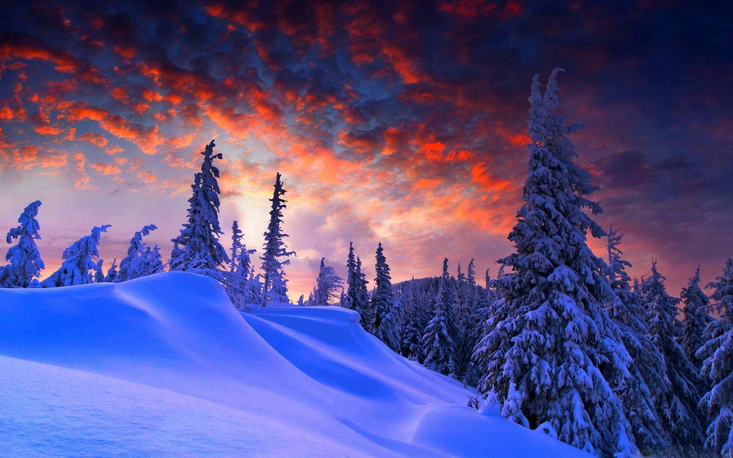 2560x1600 Pro 15 Inch (1440x900) Download MacBook Pro 15 Inch Retina (2880x1800) Download. Winter Wallpaper Hd, Winter Wallpaper, Landscape Trees