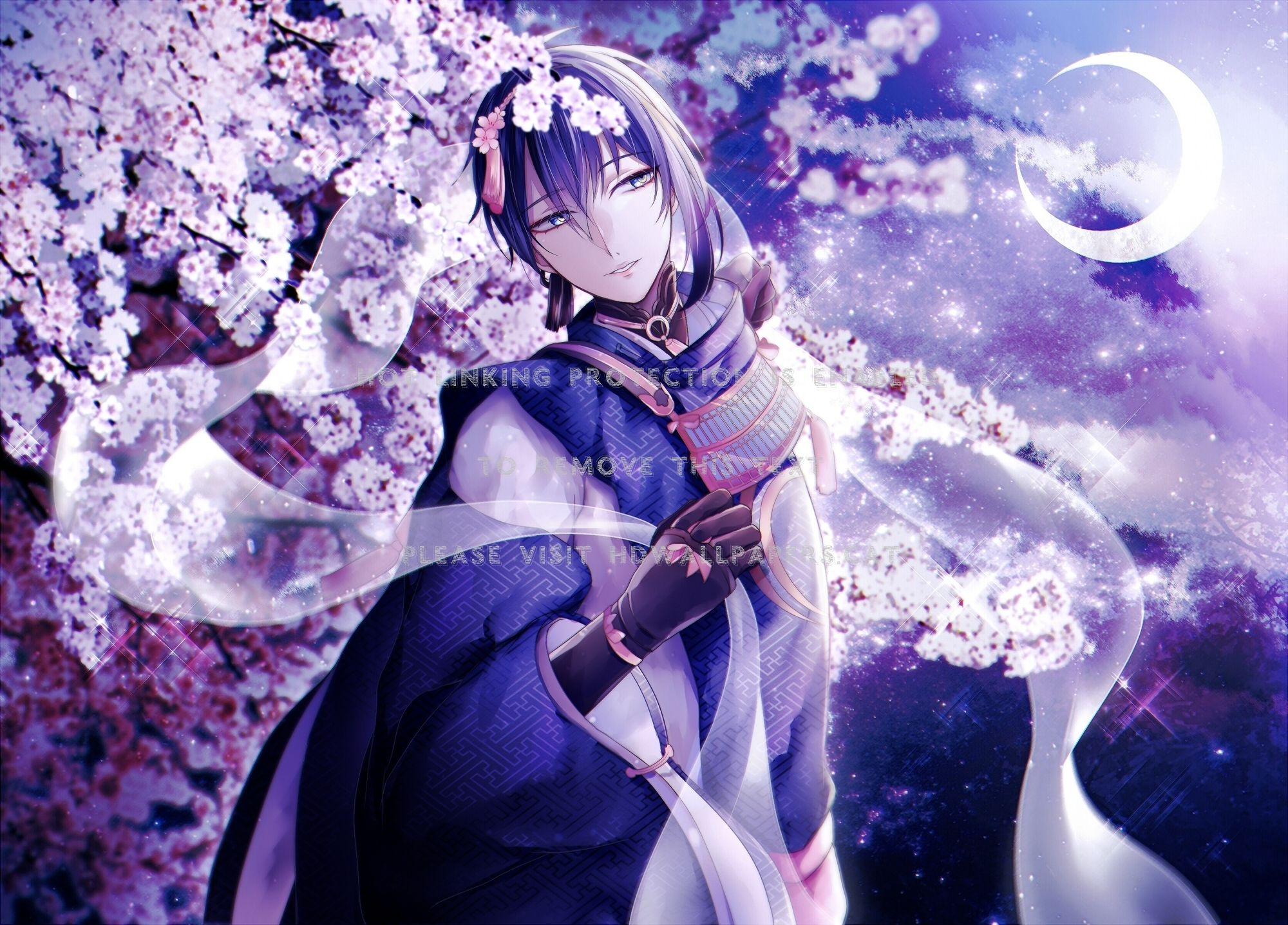 2000x1436 cherry blossom night moon purpel anime sky