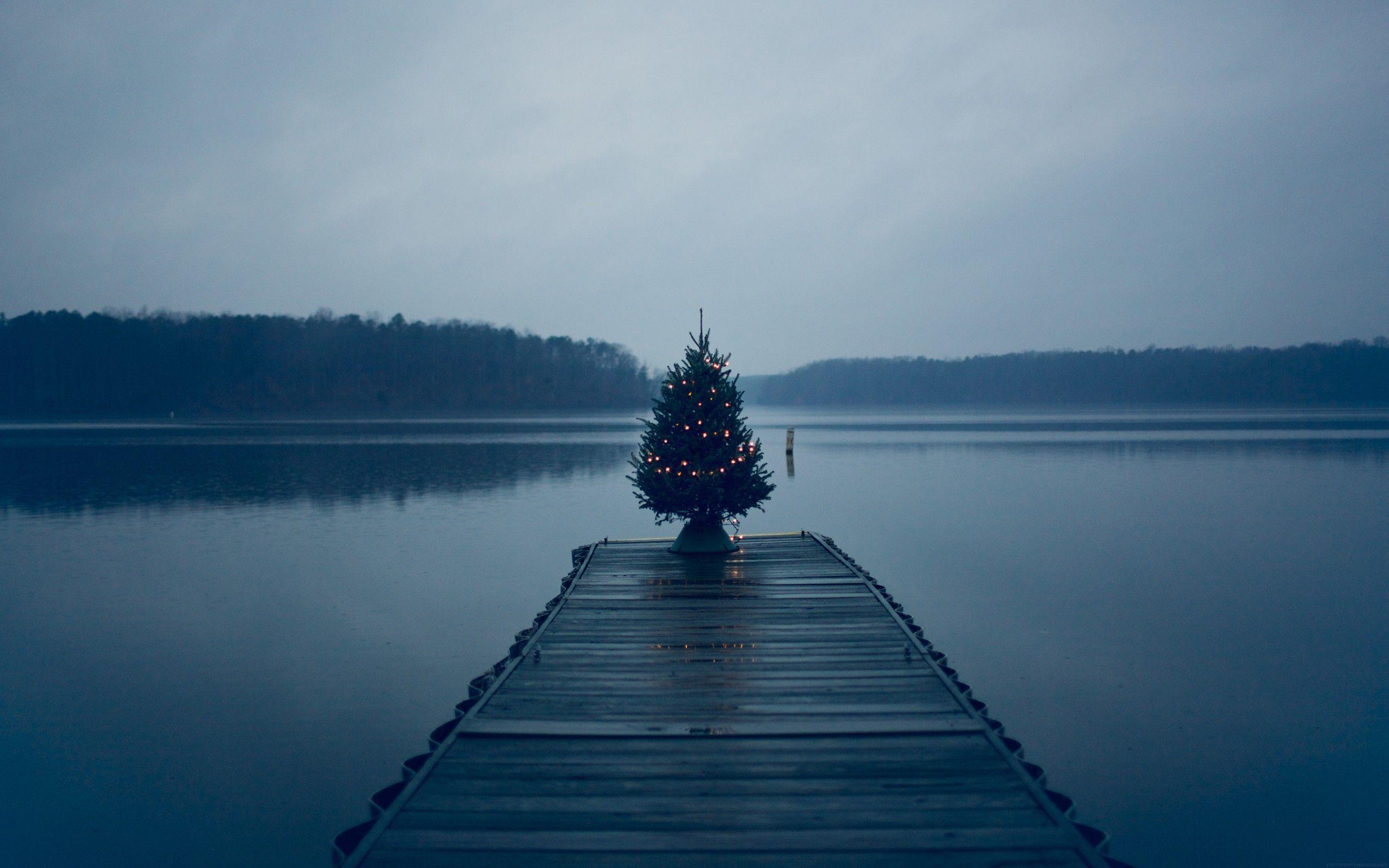 2560x1600 General 2560x1600 Christmas lake water. Christmas wallpaper, Landscape wallpaper, Blue christmas