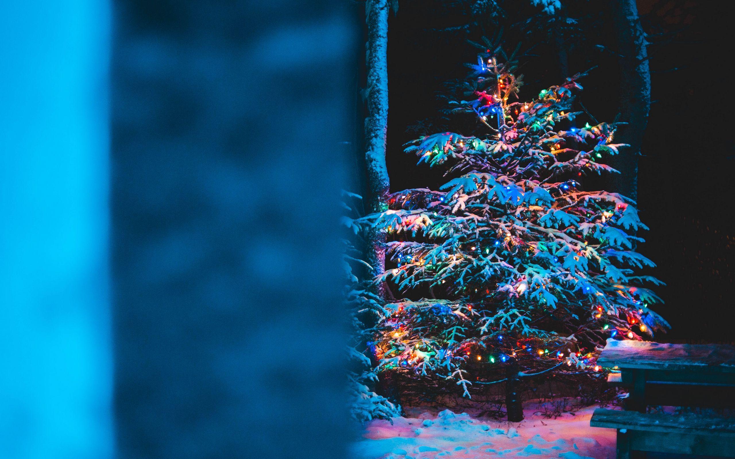2560x1600 Download wallpaper 2560x1600 tree, garland, snow, new year, christmas widescreen 16:10 HD background