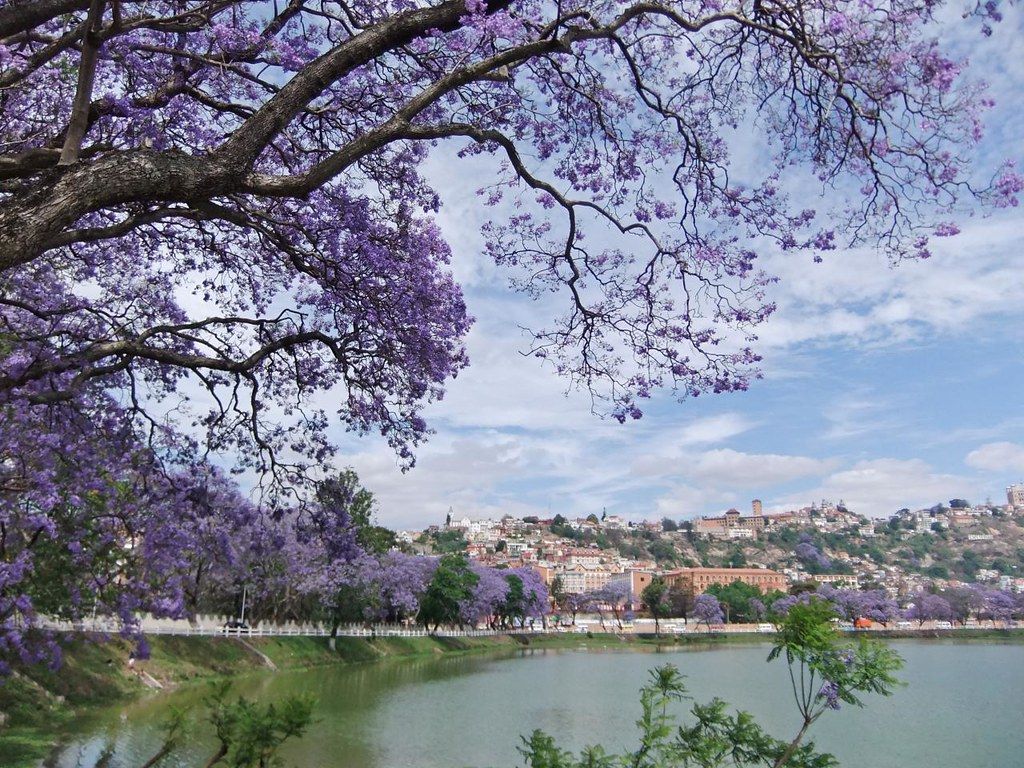 1024x768 Lac Anosy, Antananarivo