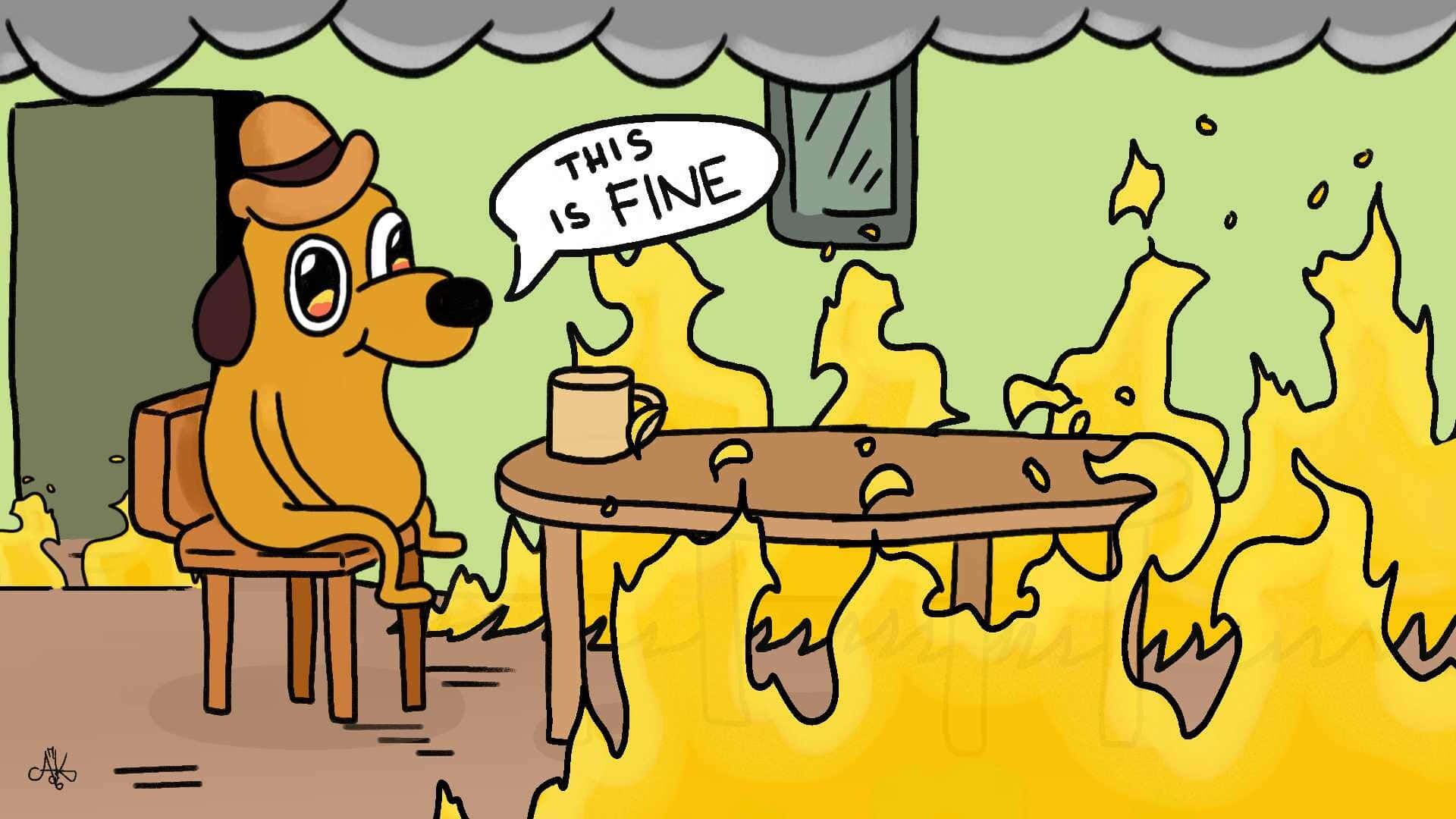 1920x1080 This Is Fine Wallpaper