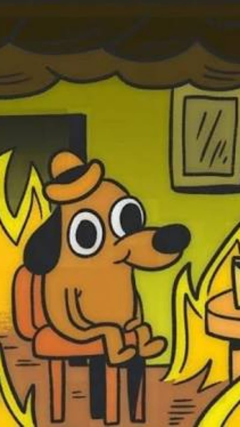 800x1422 This is fine, dreams, wolf, HD phone wallpaper