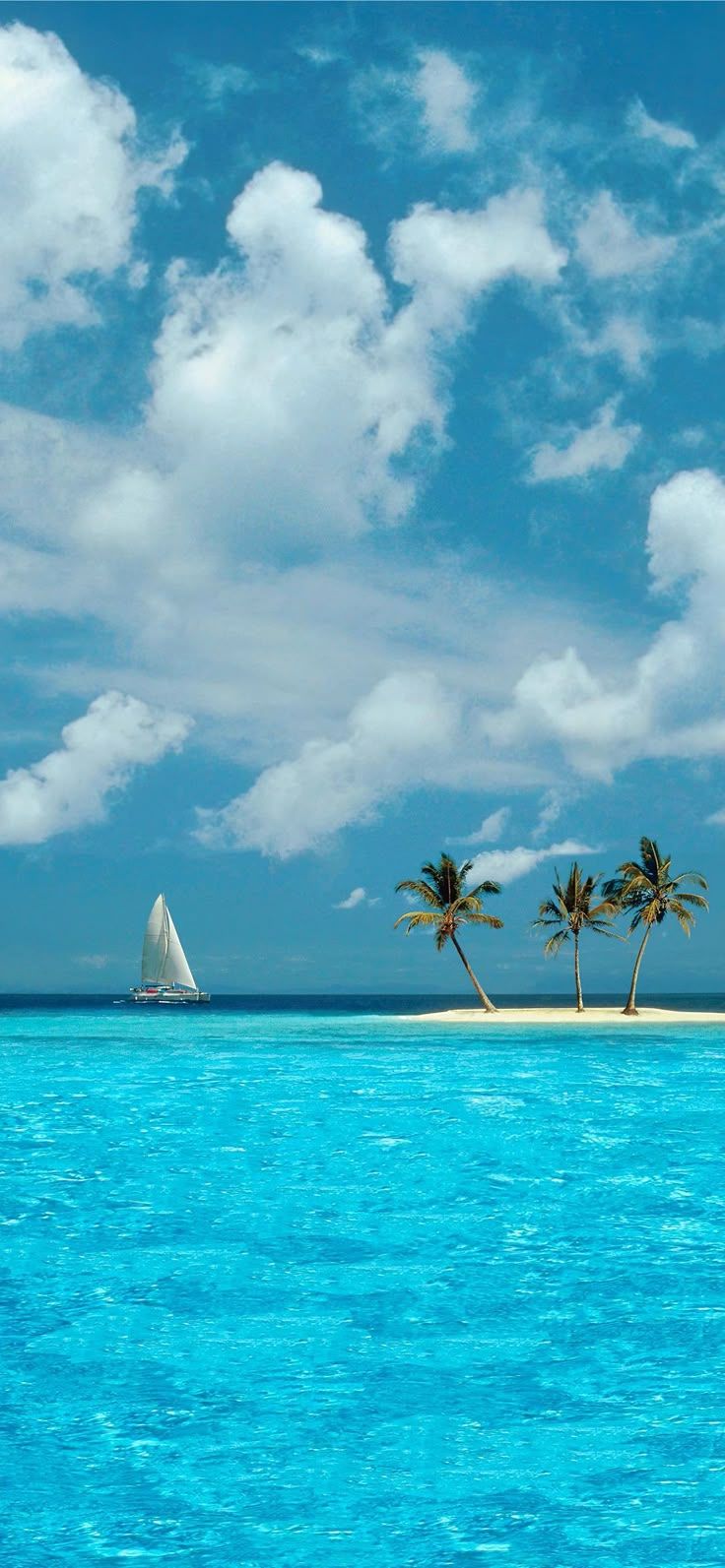 736x1593 Azul windows XP wallpaper I found for phones