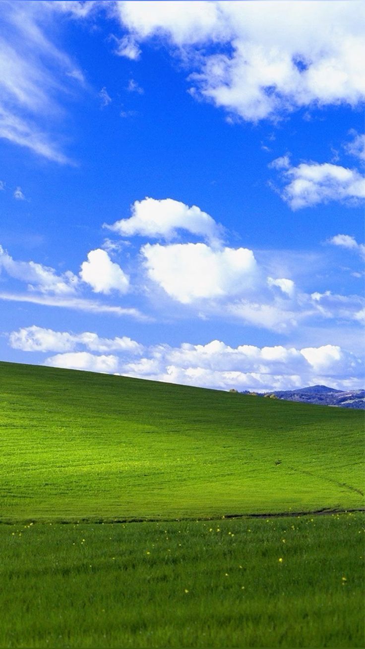 736x1308 Wallpaper Windows XP para Celular