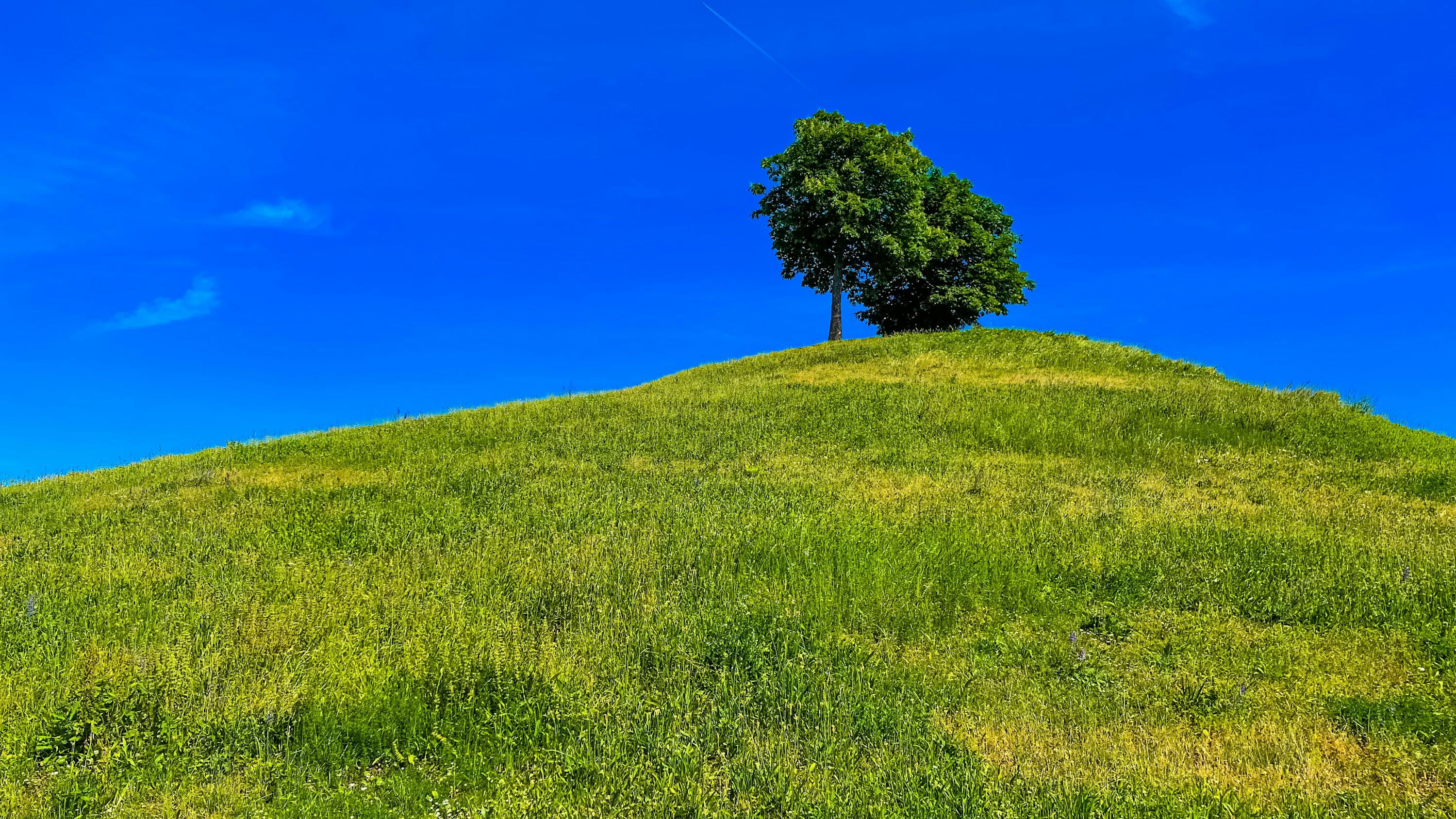 3000x1688 Windows Xp Wallpaper Picture. Download Free Image