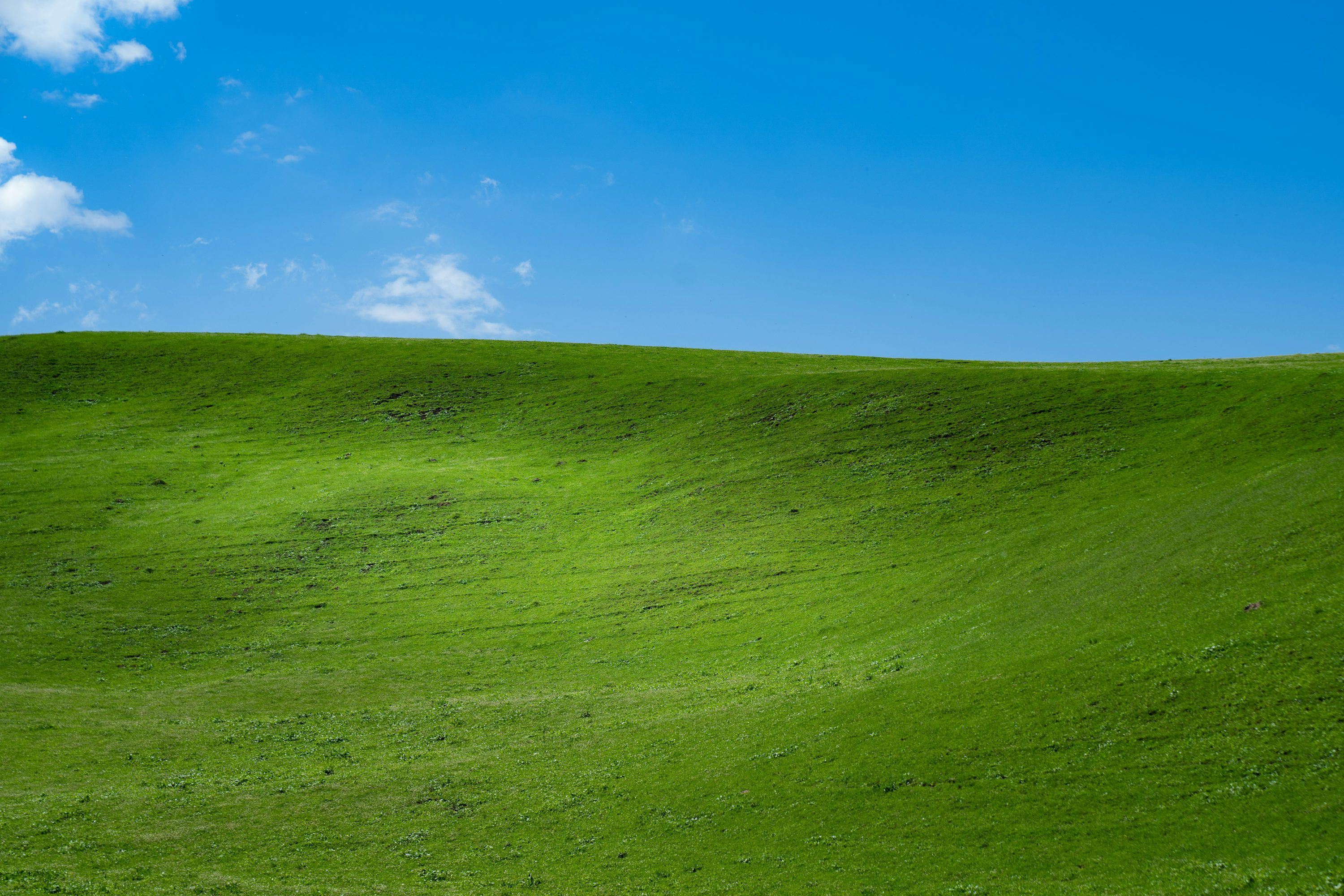 3000x2001 Windows Xp Wallpaper Picture. Download Free Image
