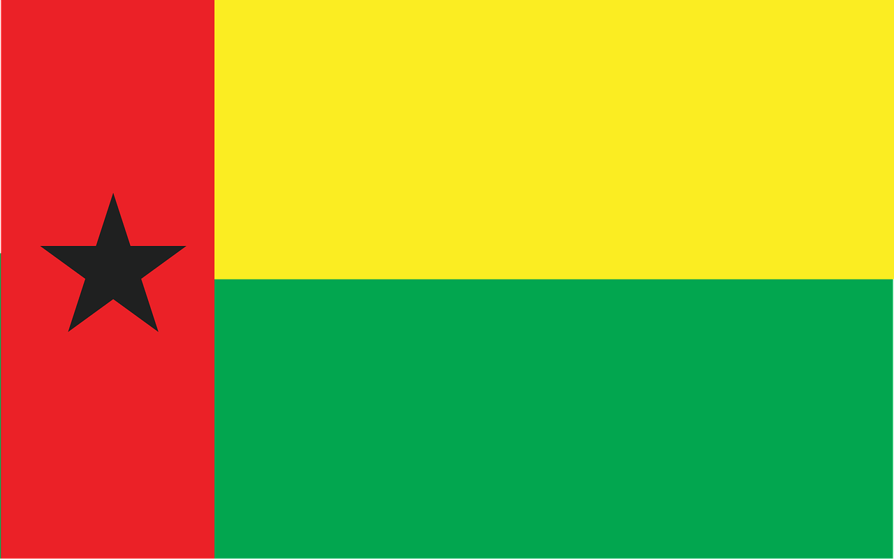 1280x800 Free Guinea Bissau & Guinea Pig Image