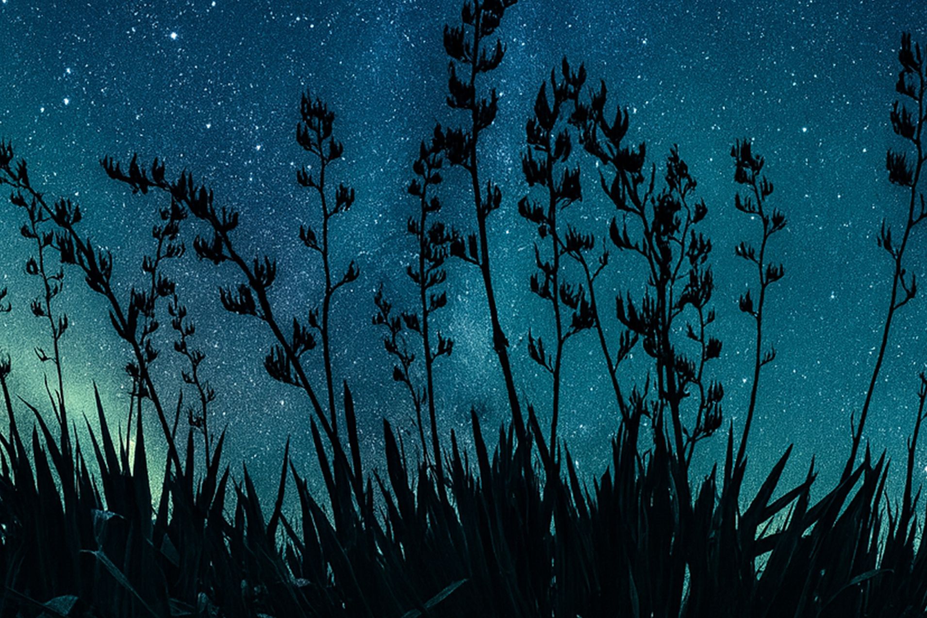 1910x1274 Kiwiana designs for your home to celebrate Matariki 2026
