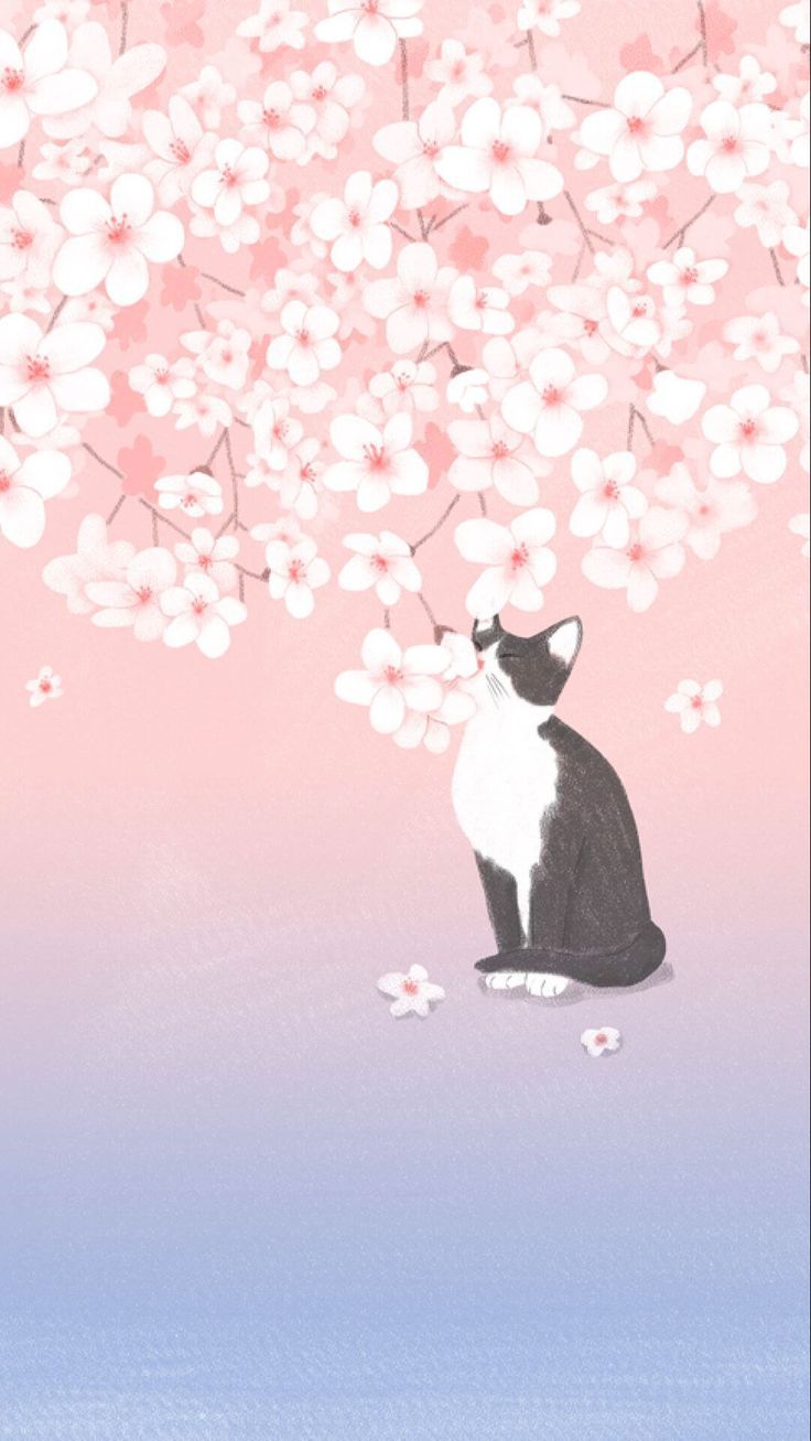 736x1307 Anime Spring Cats Wallpaper
