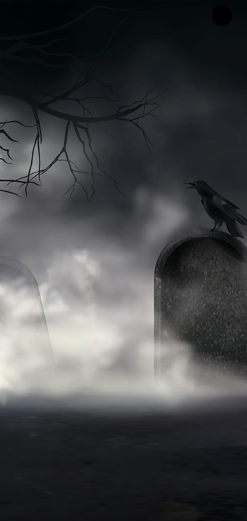 800x1689 HD hallows eve wallpaper