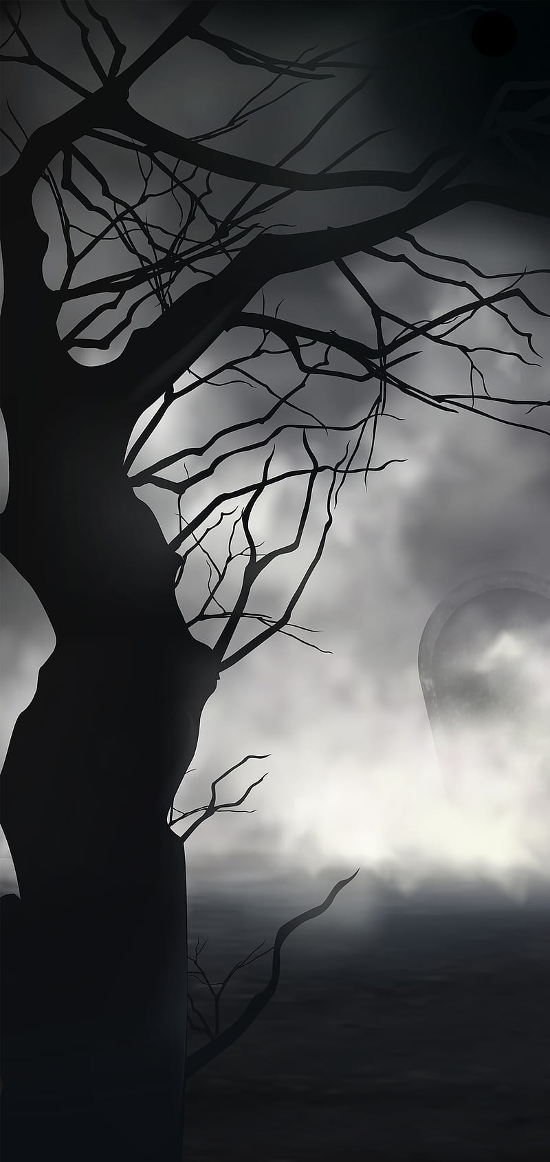800x1689 HD hallows eve wallpaper