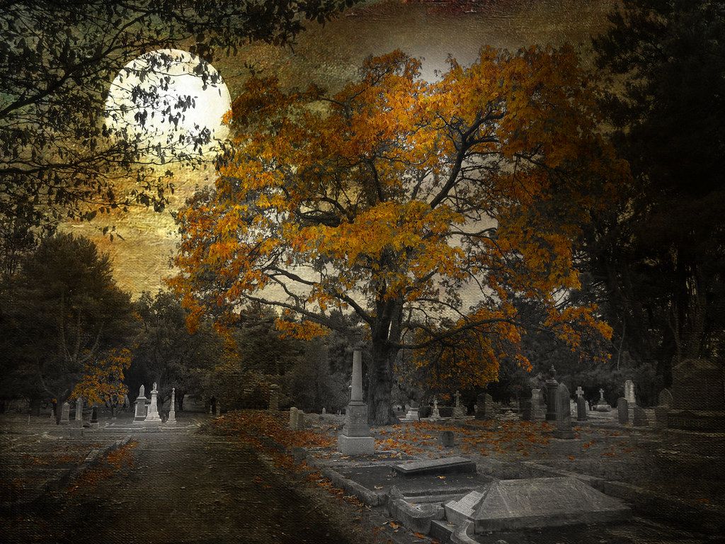 1024x768 All Hallows eve. texture by lenabemanna one of my fave text