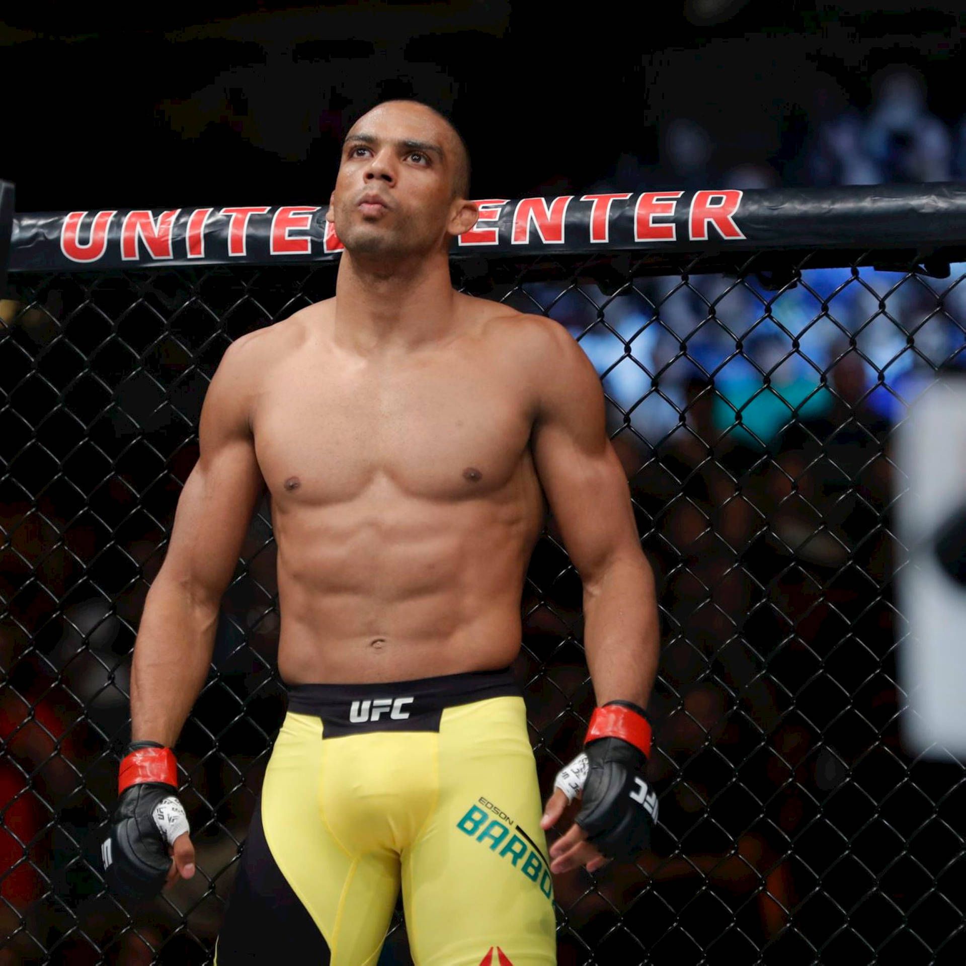 1920x1920 Download free Edson Barboza In The Ring Wallpaper