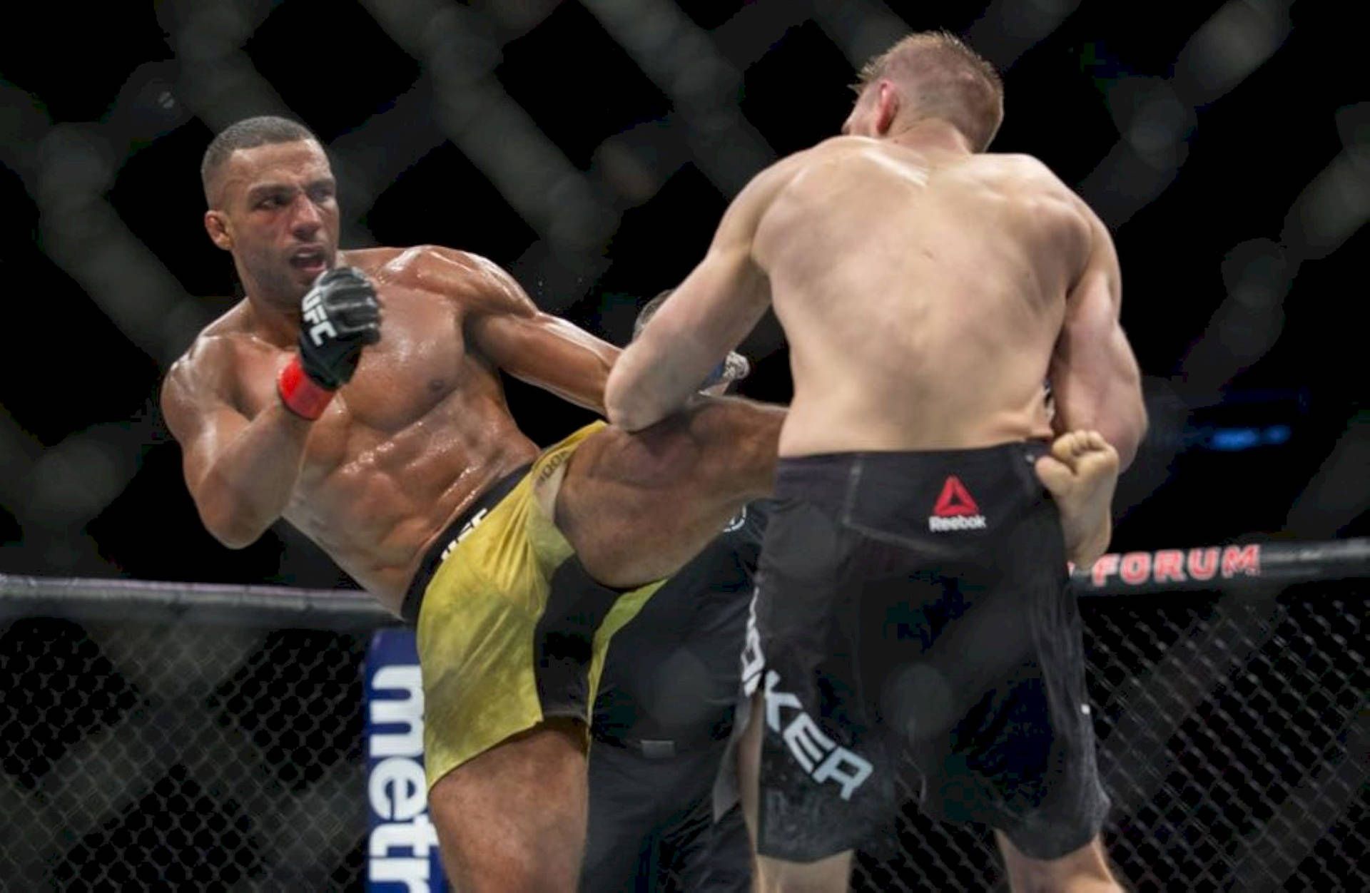1920x1252 Download free Edson Barboza Kicking Wallpaper
