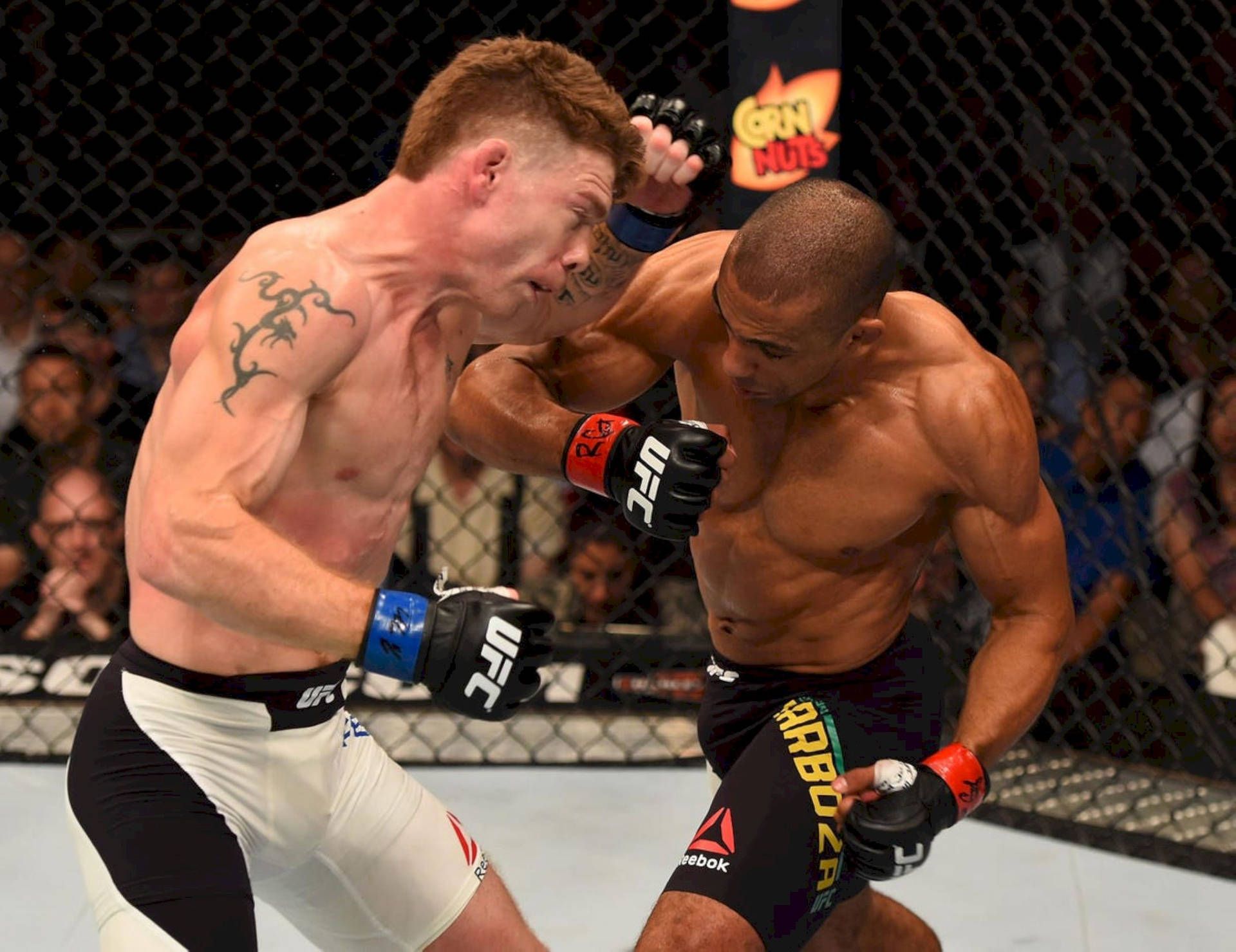 1920x1480 Download free Intense Fight Moment Between Edson Barboza And Paul Felder Wallpaper