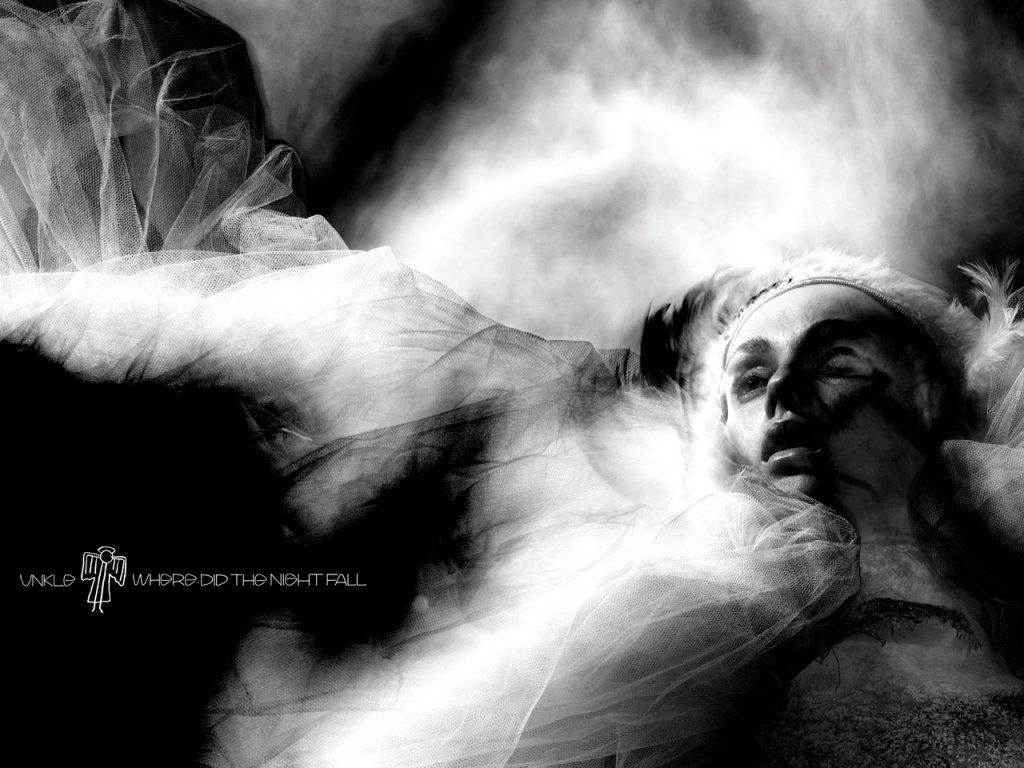 1024x768 Flores del Fango: Warren Du Preez & Nick Thornton Jones para 'Where Did The Night Fall' de UNKLE (2010)