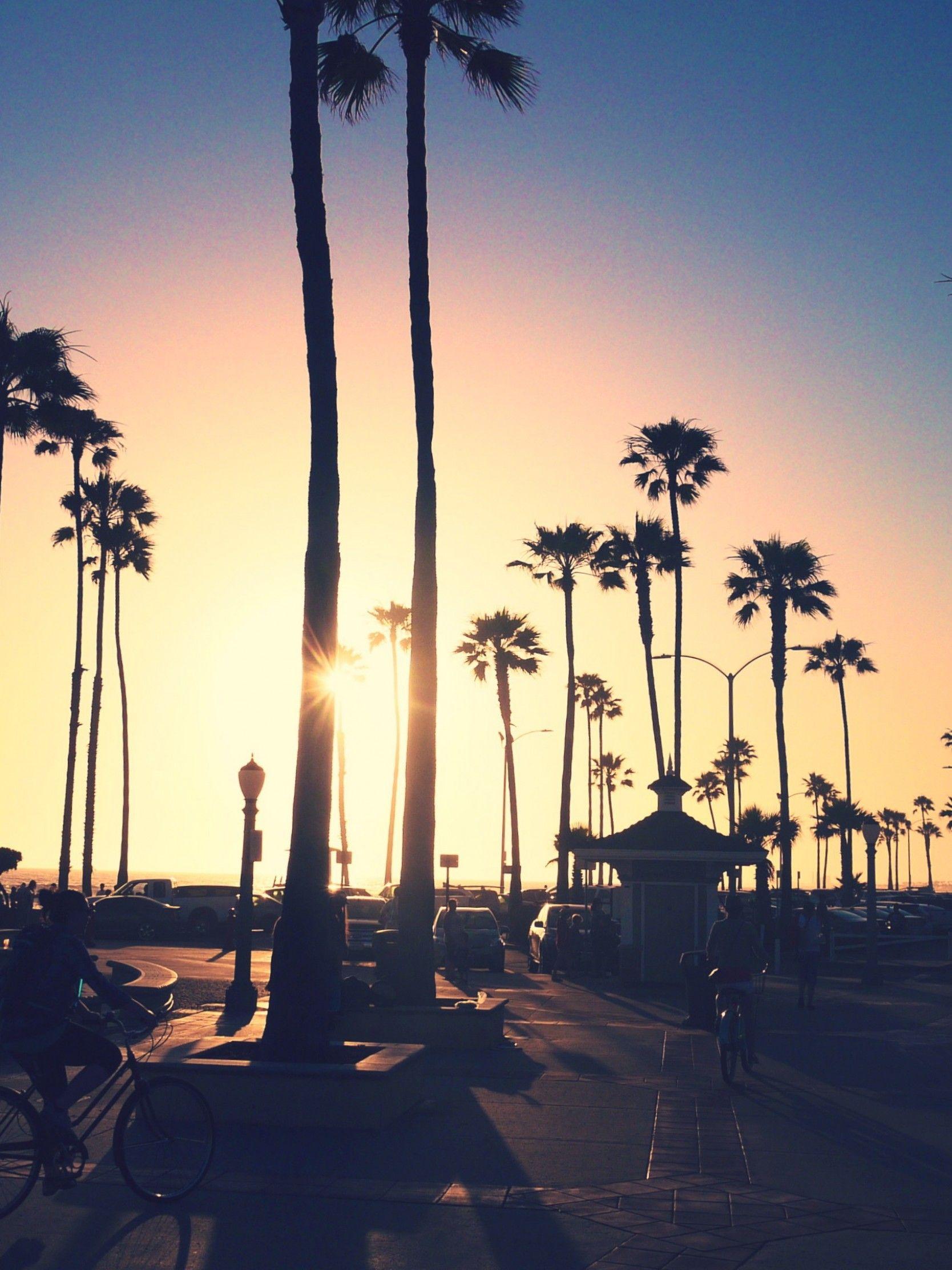 1668x2224 Hd Los Angeles Wallpaper
