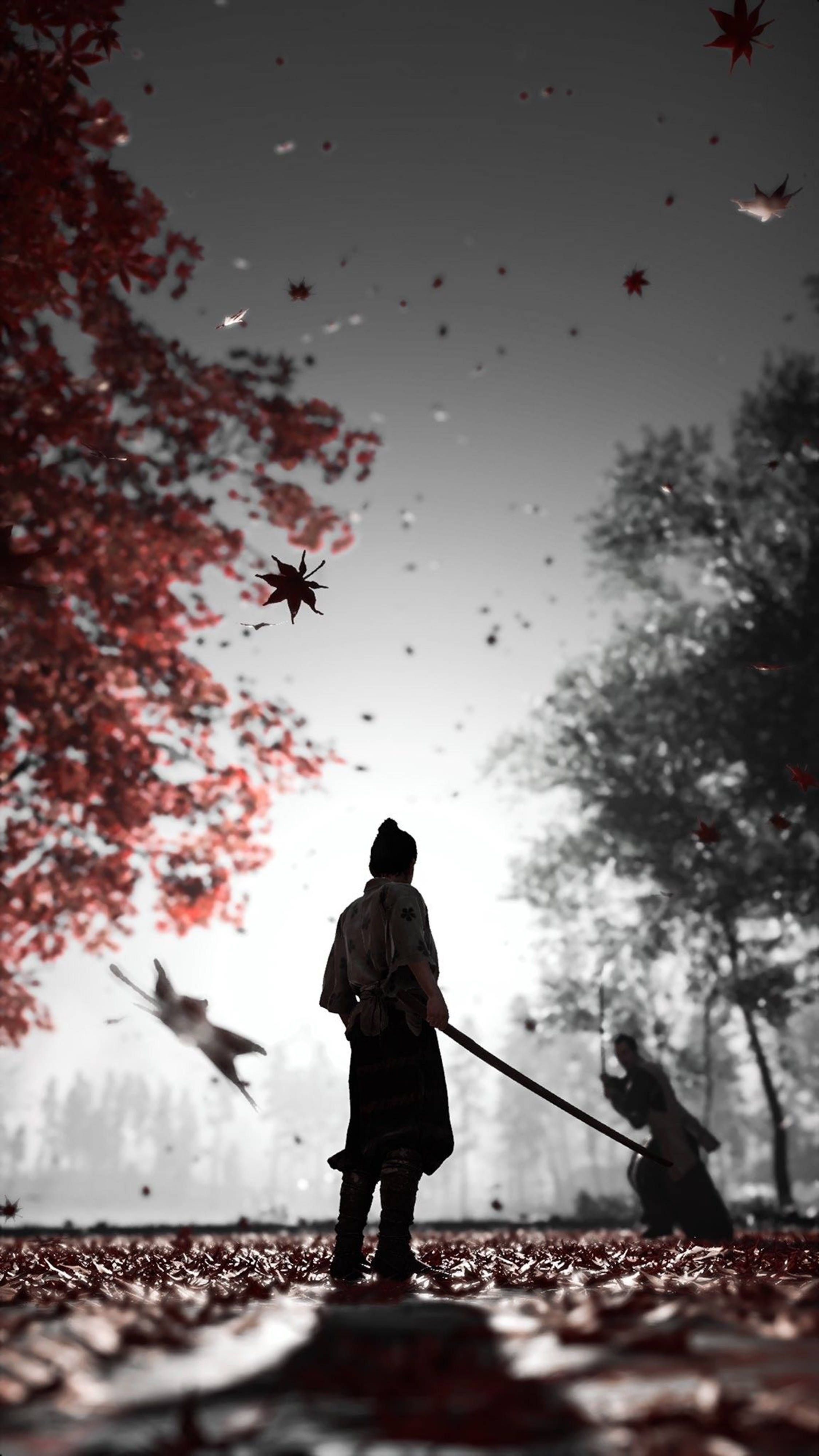2250x4000 Men With Sword Wallpaper