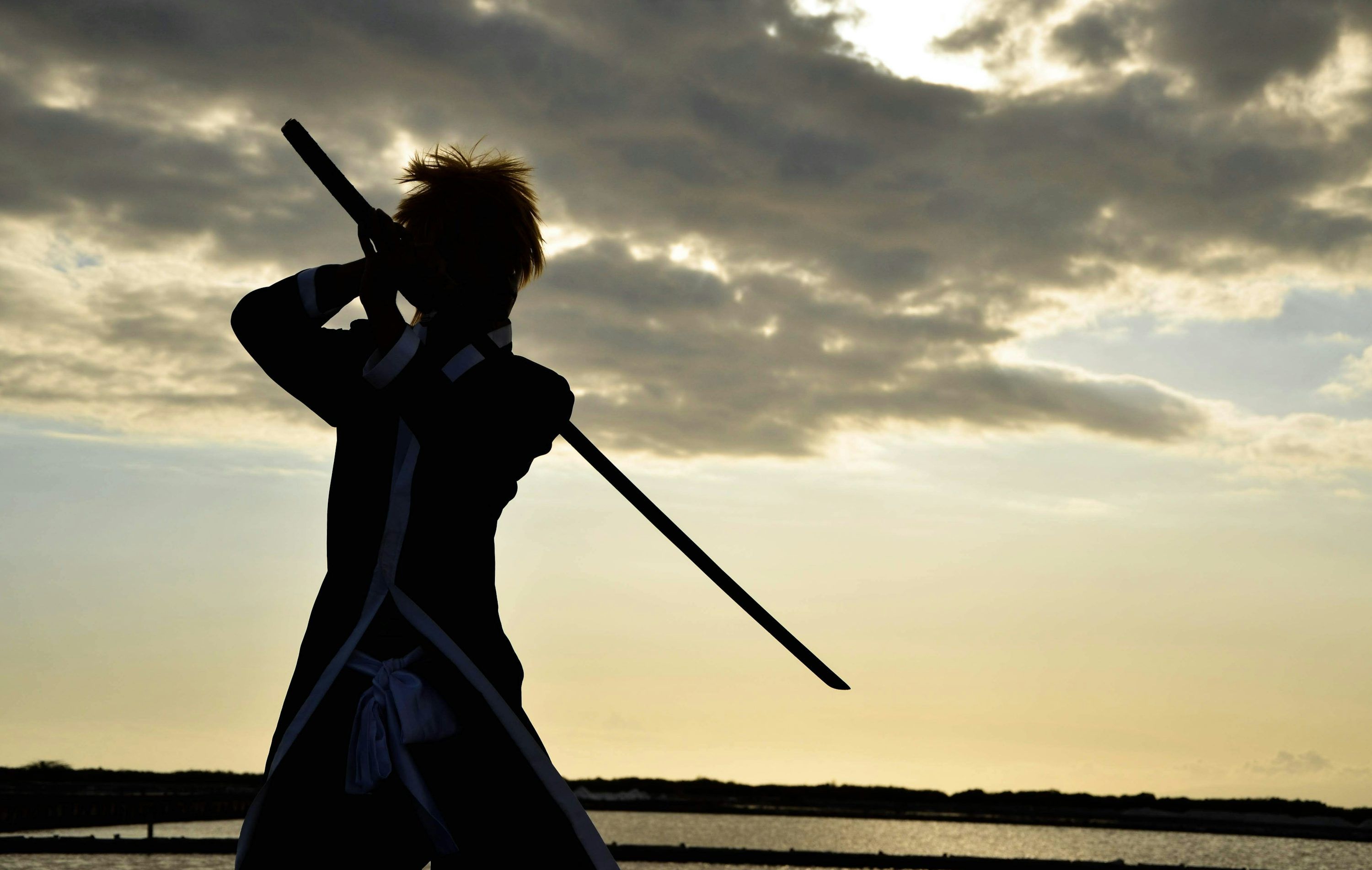 3000x1903 Swordsman Picture. Download Free Image