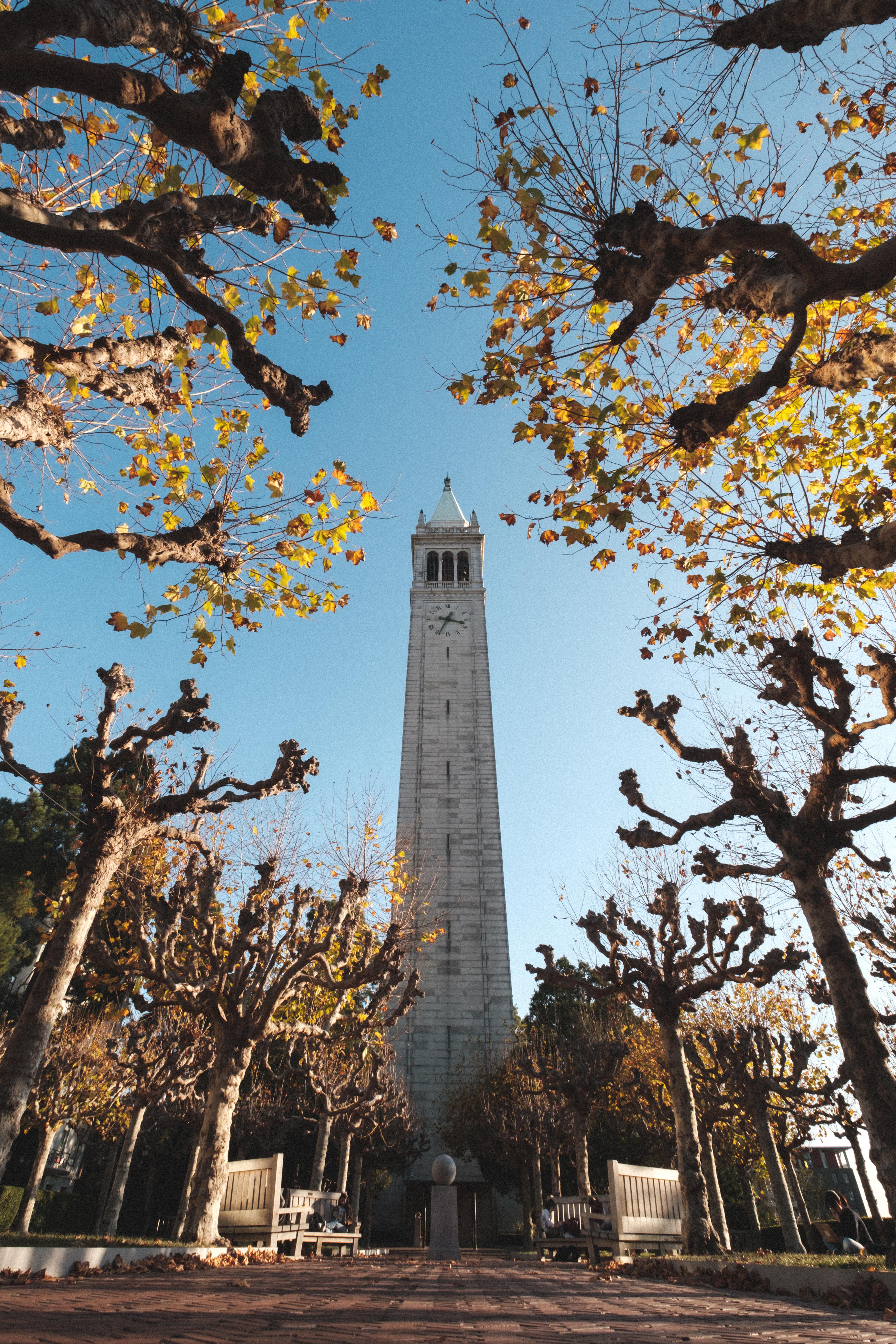3667x5500 Yes, every Cal student ever has taken this picture, but my phone needed a new background!