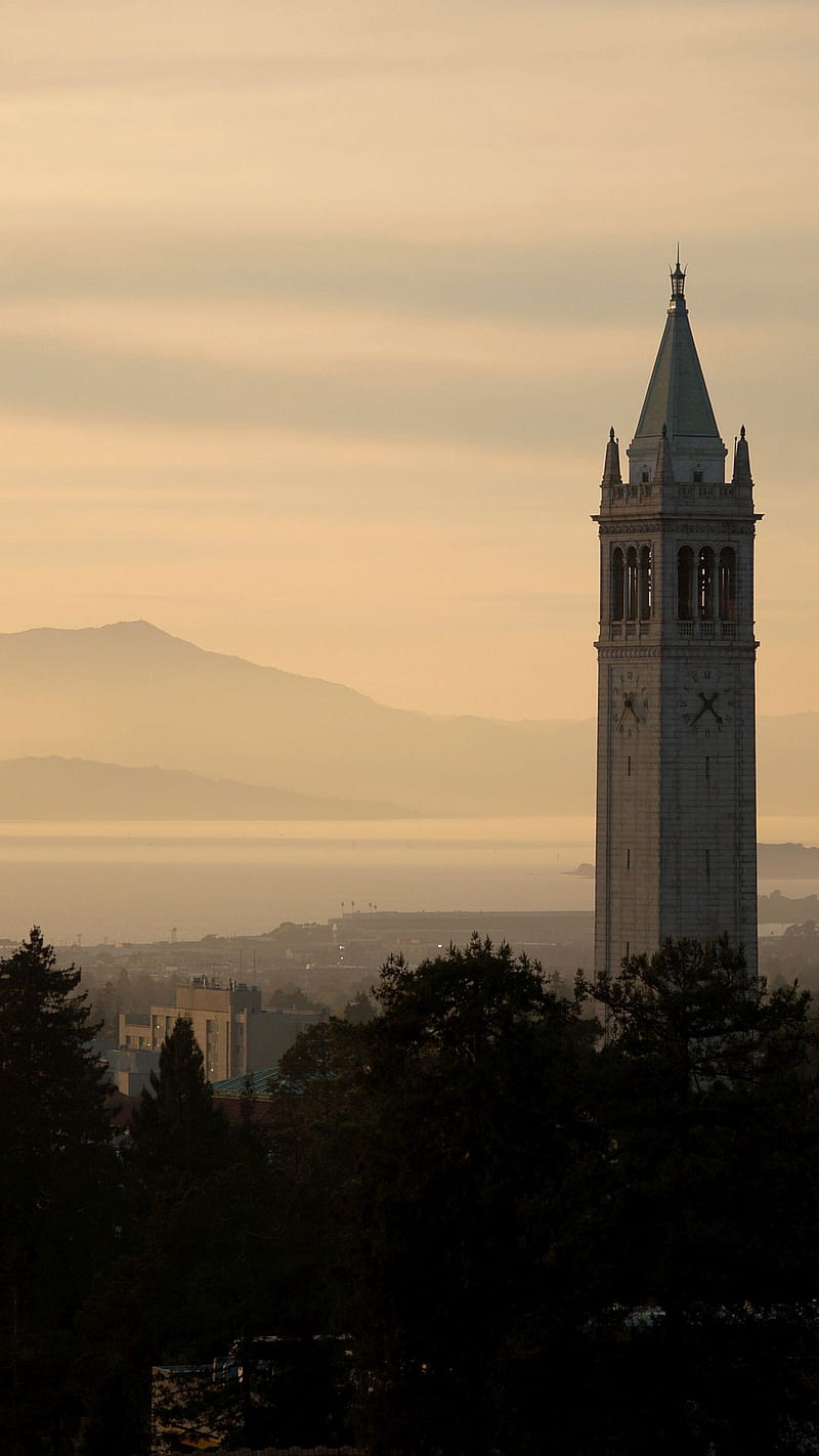 800x1422 HD university of california berkeley wallpaper