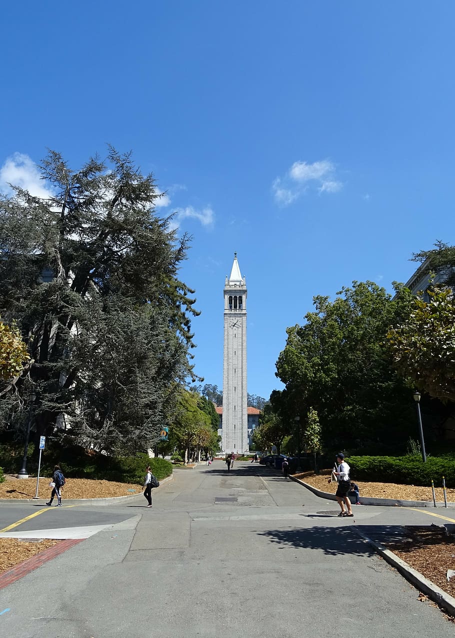 910x1276 University of California Berkeley 1080P, 2K, 4K, 5K HD wallpaper free download