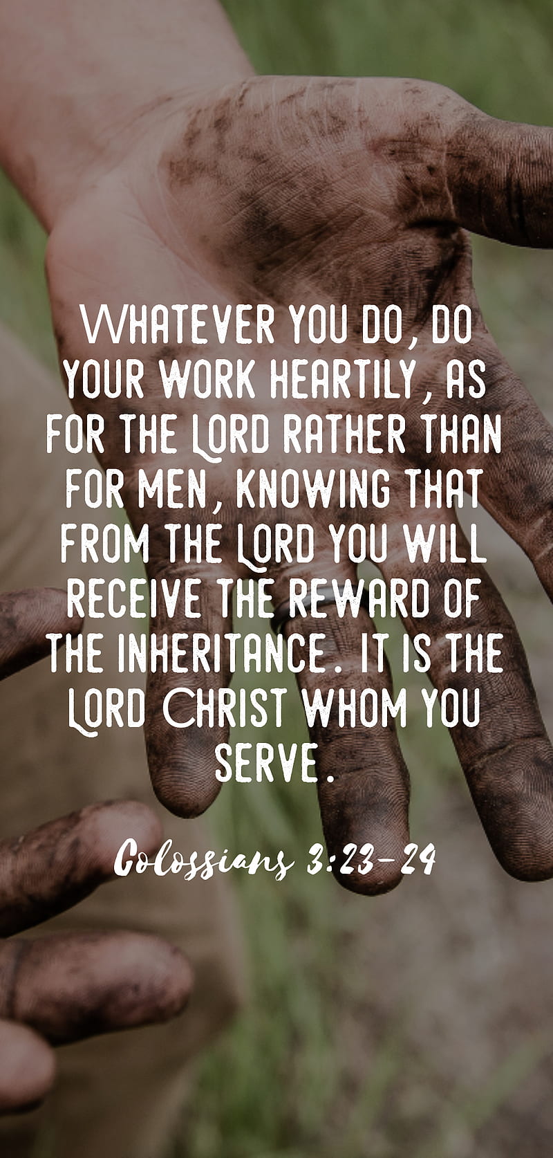 800x1674 Colossians 3 23 bible, christian, god, jesus, verse, HD phone wallpaper