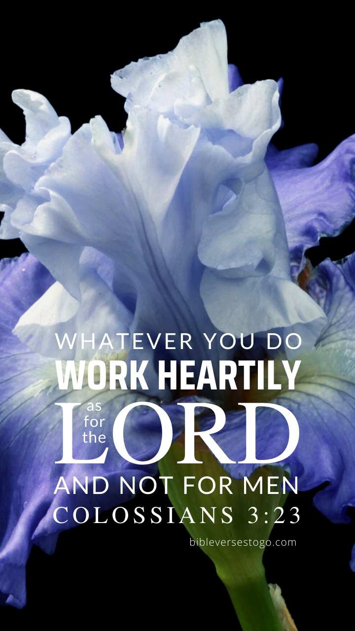 720x1280 Principe Iris Colossians 3:23