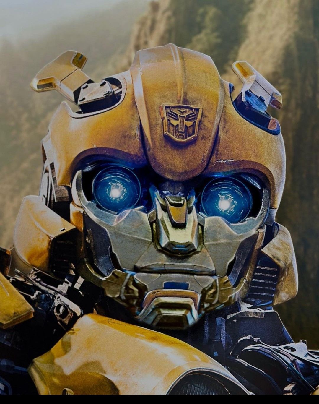 1080x1367 Bumblebee with face(not mine)
