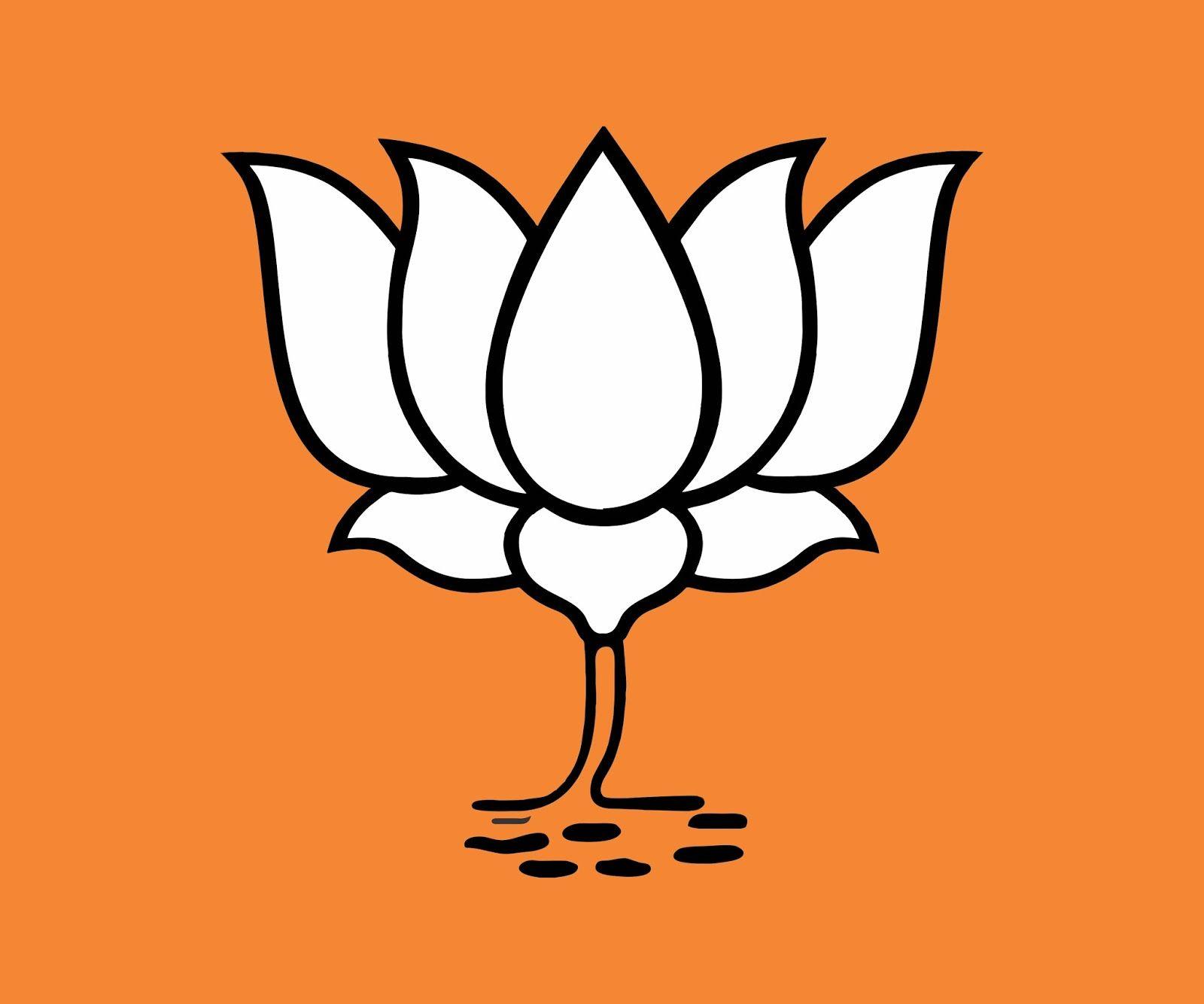 1600x1334 Bjp Flag Background Black