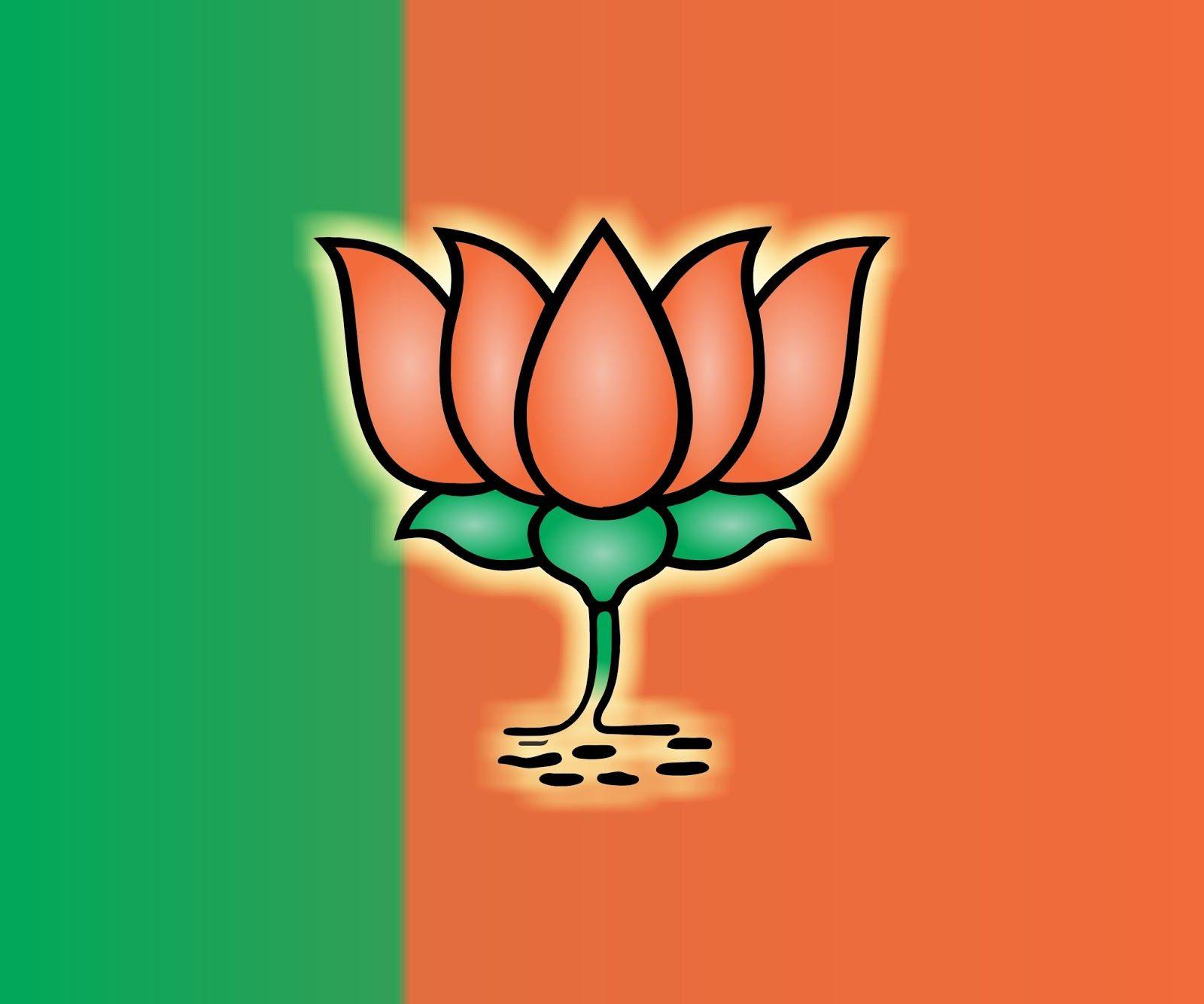 1600x1334 Background For BJP Wallpaper