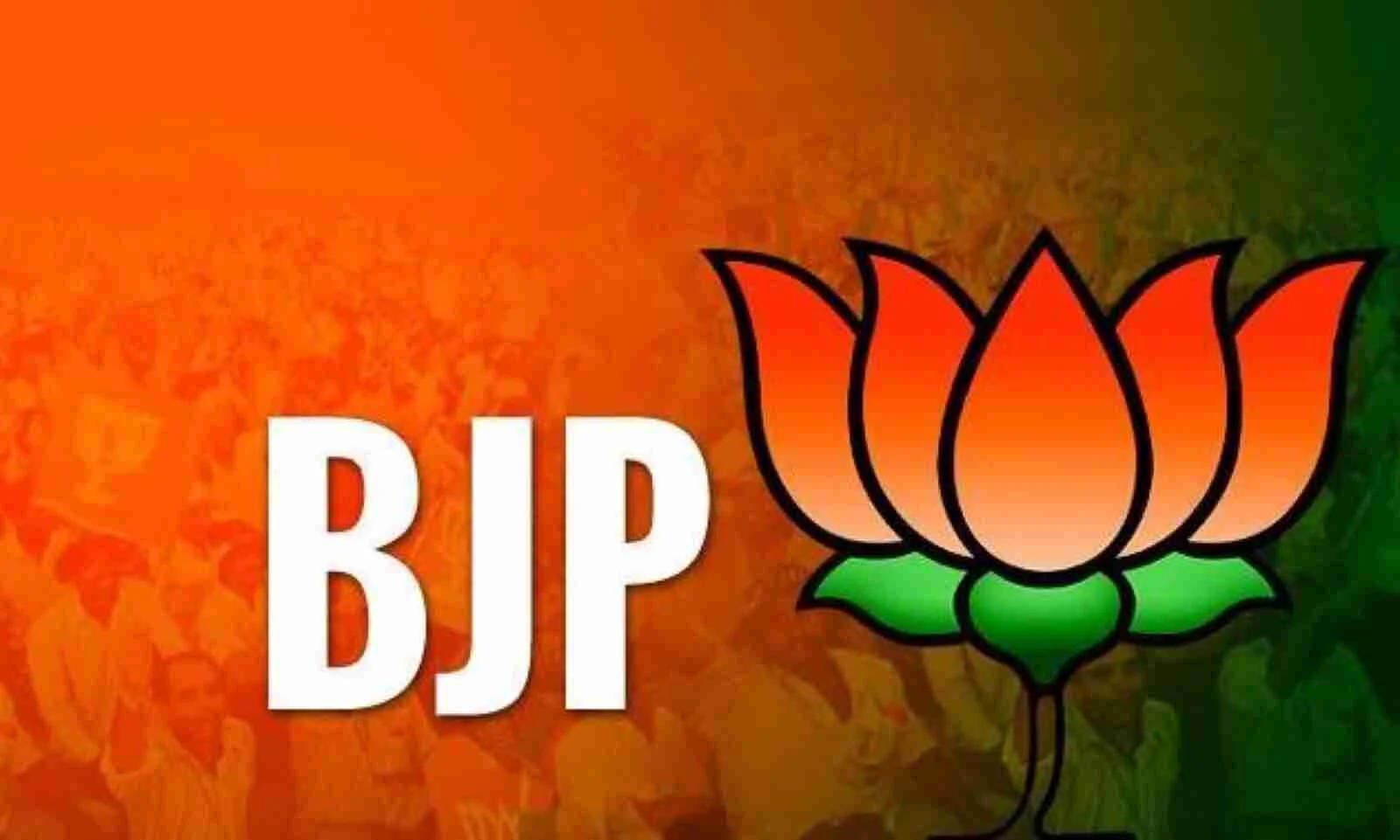 1600x961 Bjp HD Wallpaper (100++)
