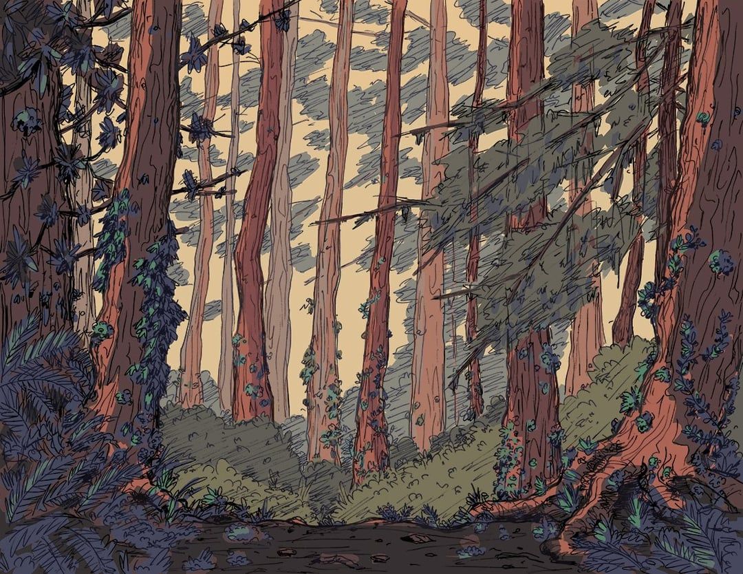 1080x834 A forest background for a project I'm working on