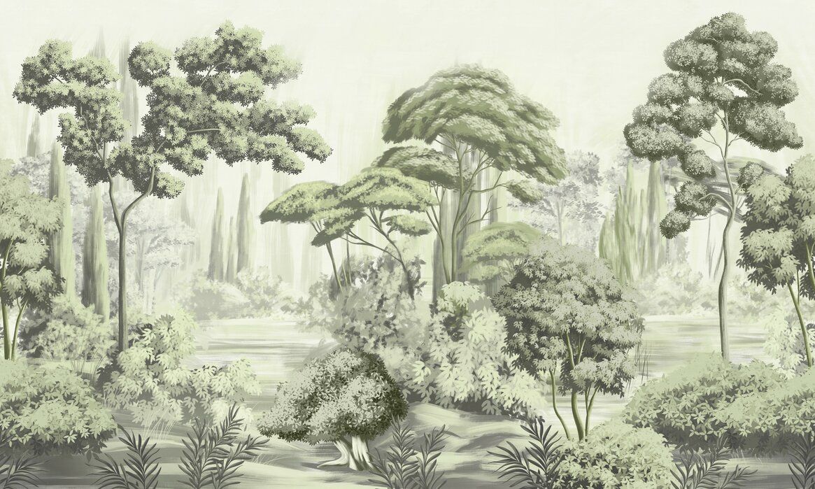 1165x699 Natural Forest Landscape