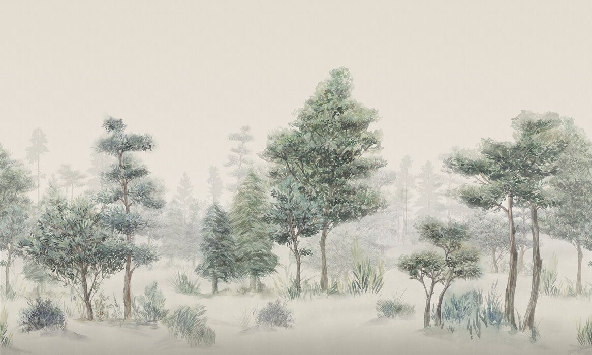 1165x699 Bohemian Forest