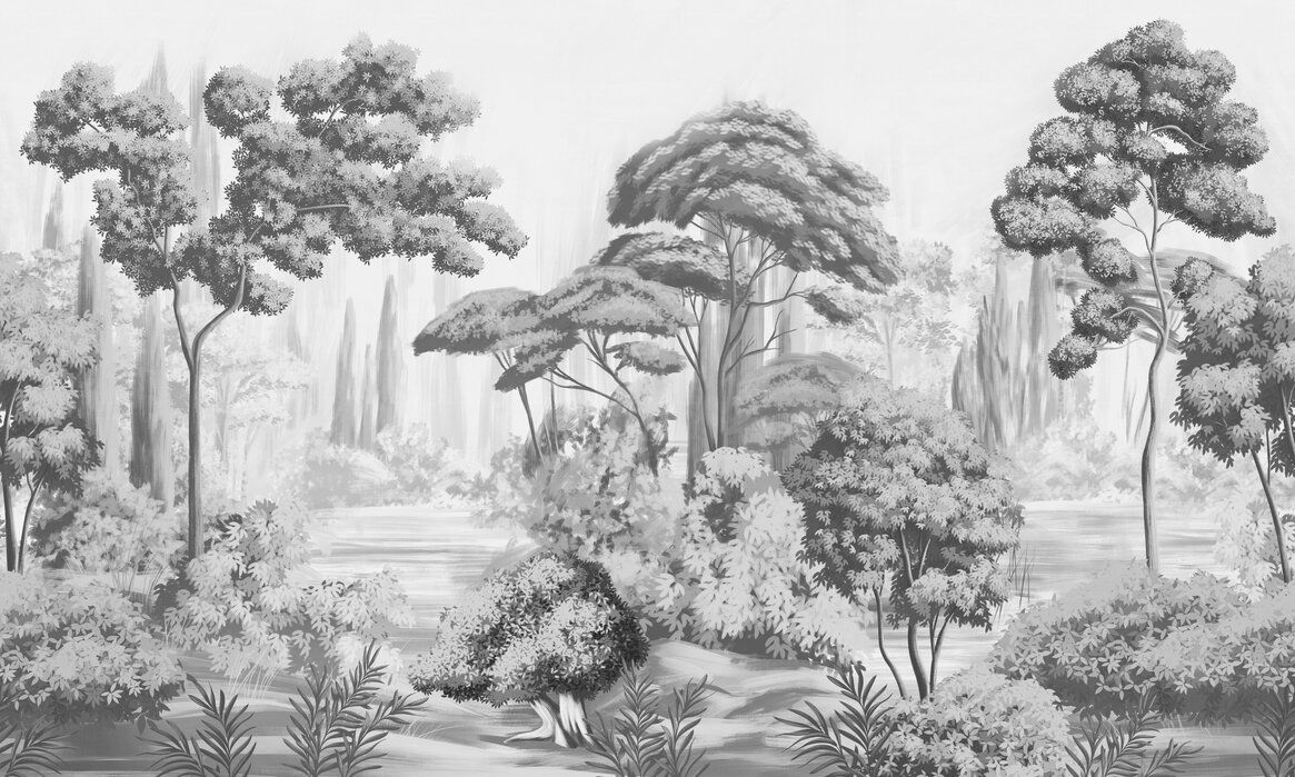 1165x699 Natural Forest Landscape