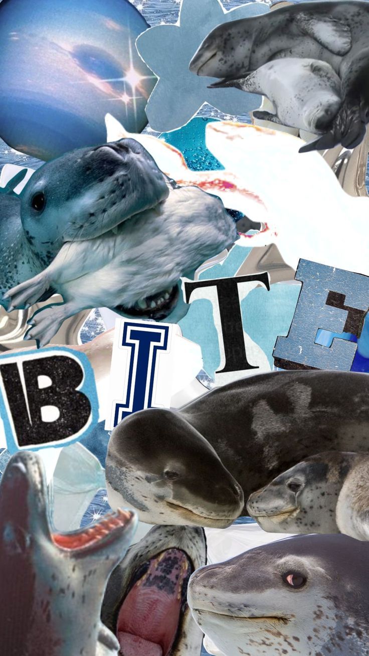 736x1308 Leopard seal wallpaper!! #leopardseal #seal #therian