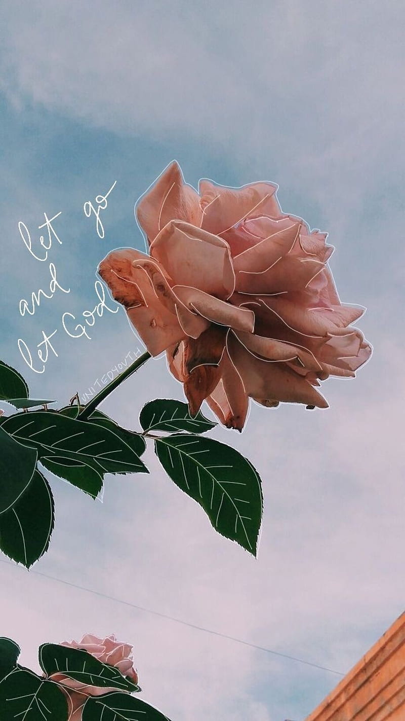 800x1422 HD let god wallpaper