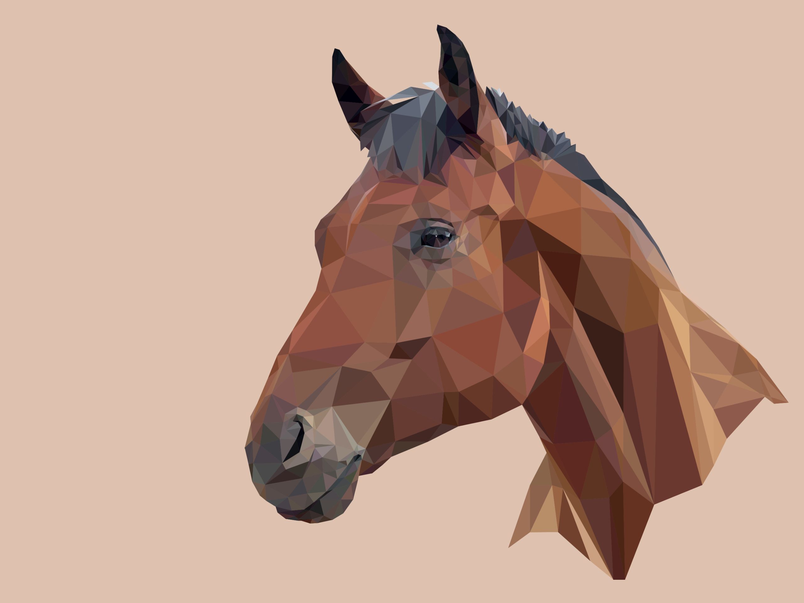 2560x1920 Desktop wallpaper: Abstract, Facets, Horse, Low Poly, Minimalist, Polygon 4K free download for PC. 806607