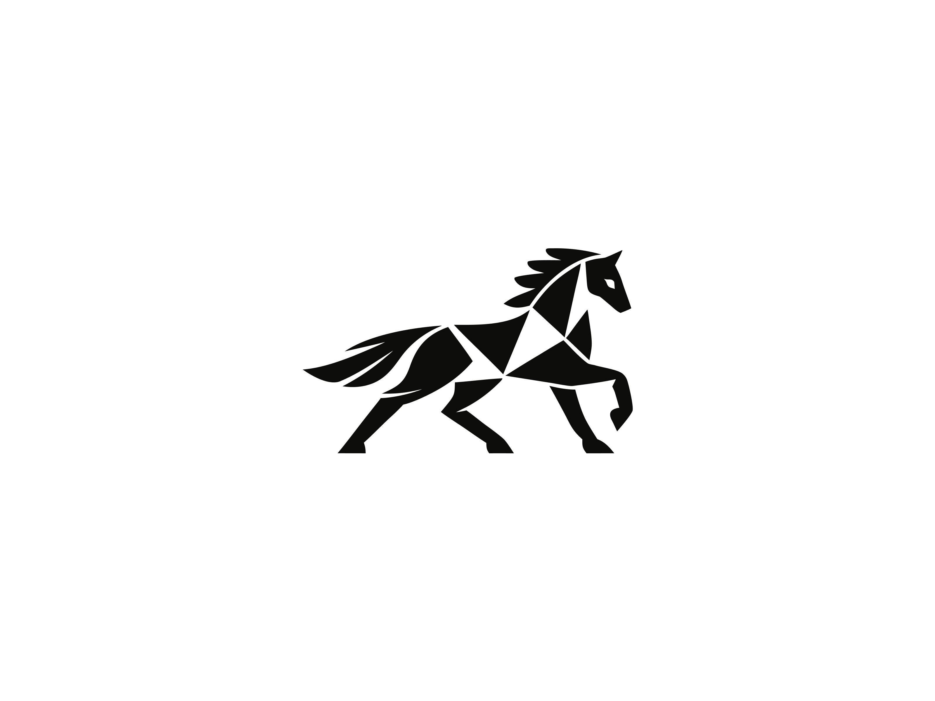 3200x2400 Geometric Horse Logo Mark Brand Identity Design by recentcraft on Dribbble