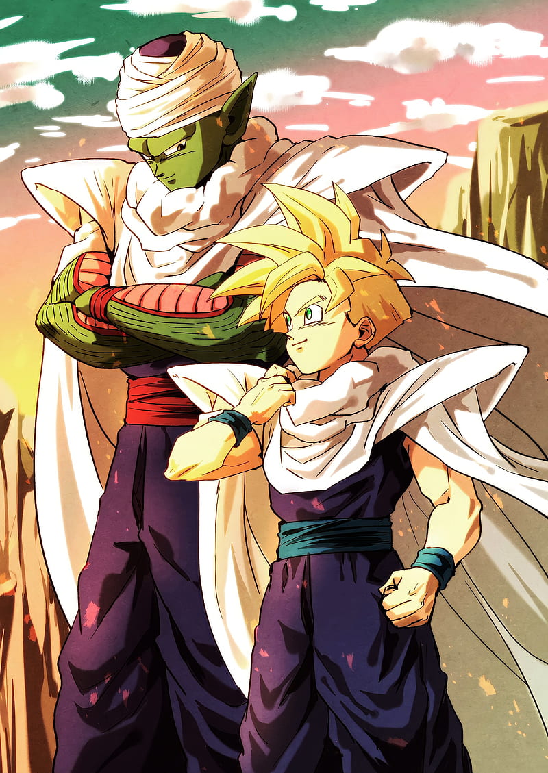 800x1129 HD gohan manga ball wallpaper