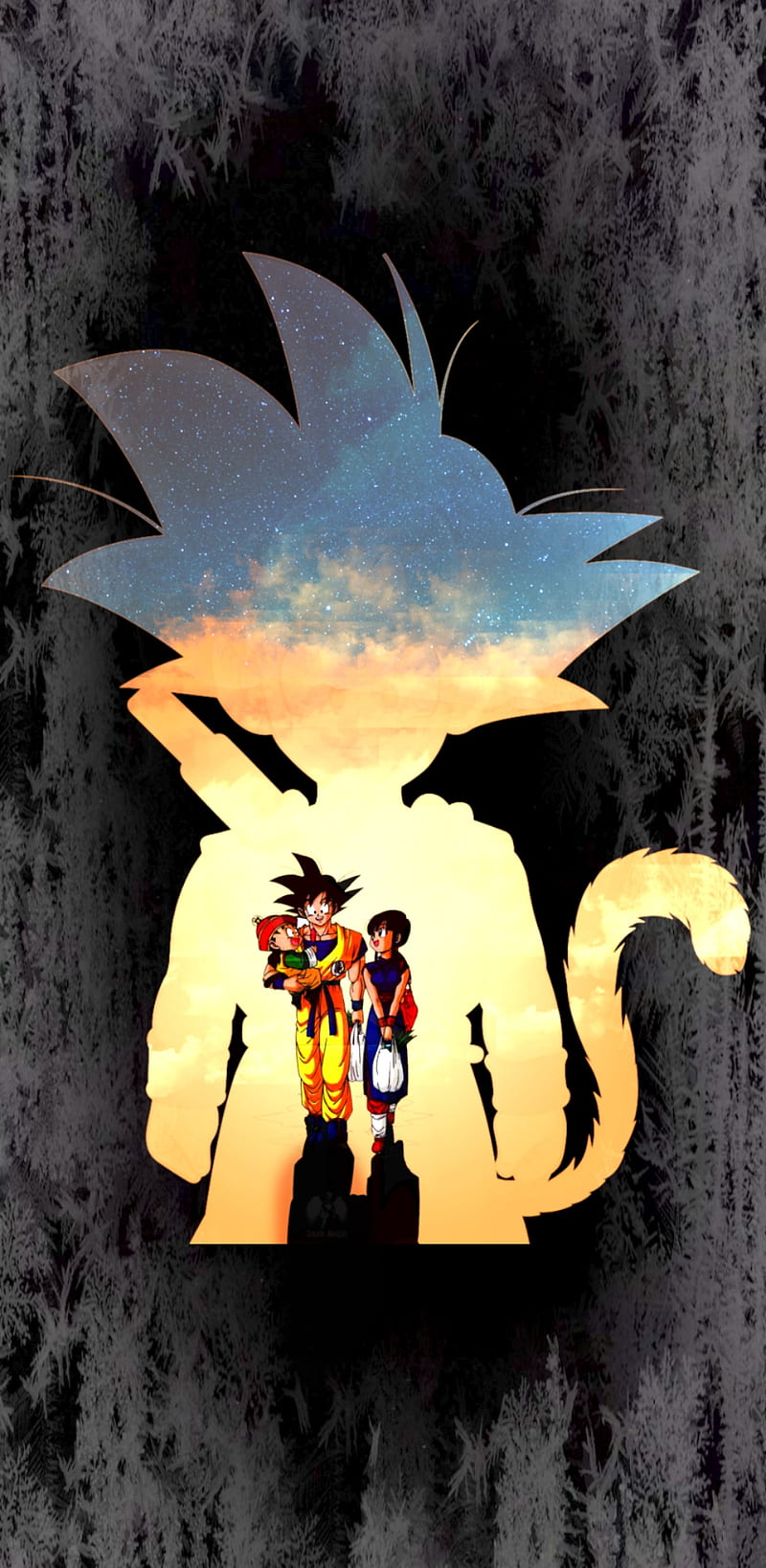 800x1638 DBZ, chichi, gohan, goku, HD phone wallpaper