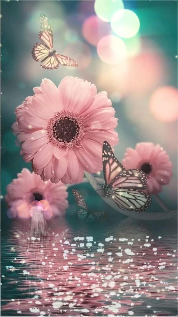 736x1308 Pink Flowers and Butterflies Floral Wallpaper. Have a safe trip gif, Beautiful nature image for whatsapp, Bon voyage image for whatsapp