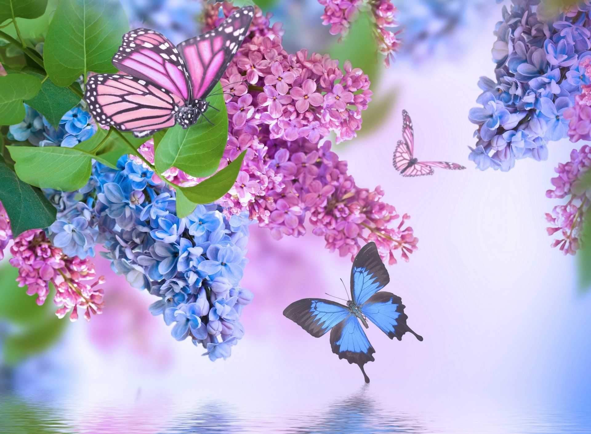 1920x1411 Spring Serenity: 4K Ultra HD Butterfly and Floral Wonderlandx3196