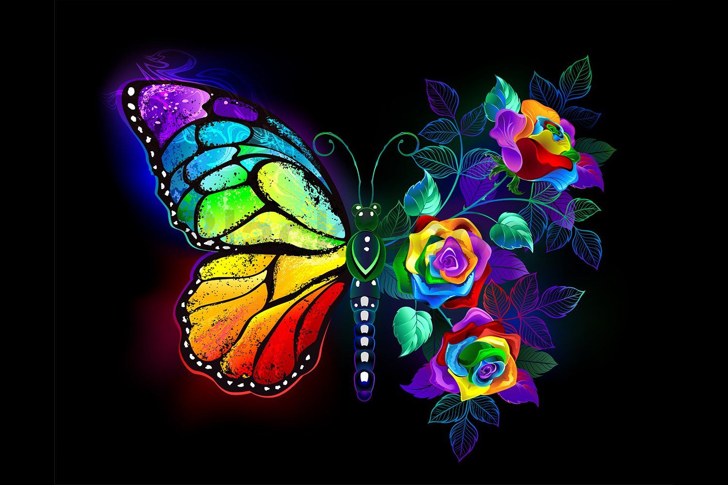 1500x1000 Rainbow flower butterfly